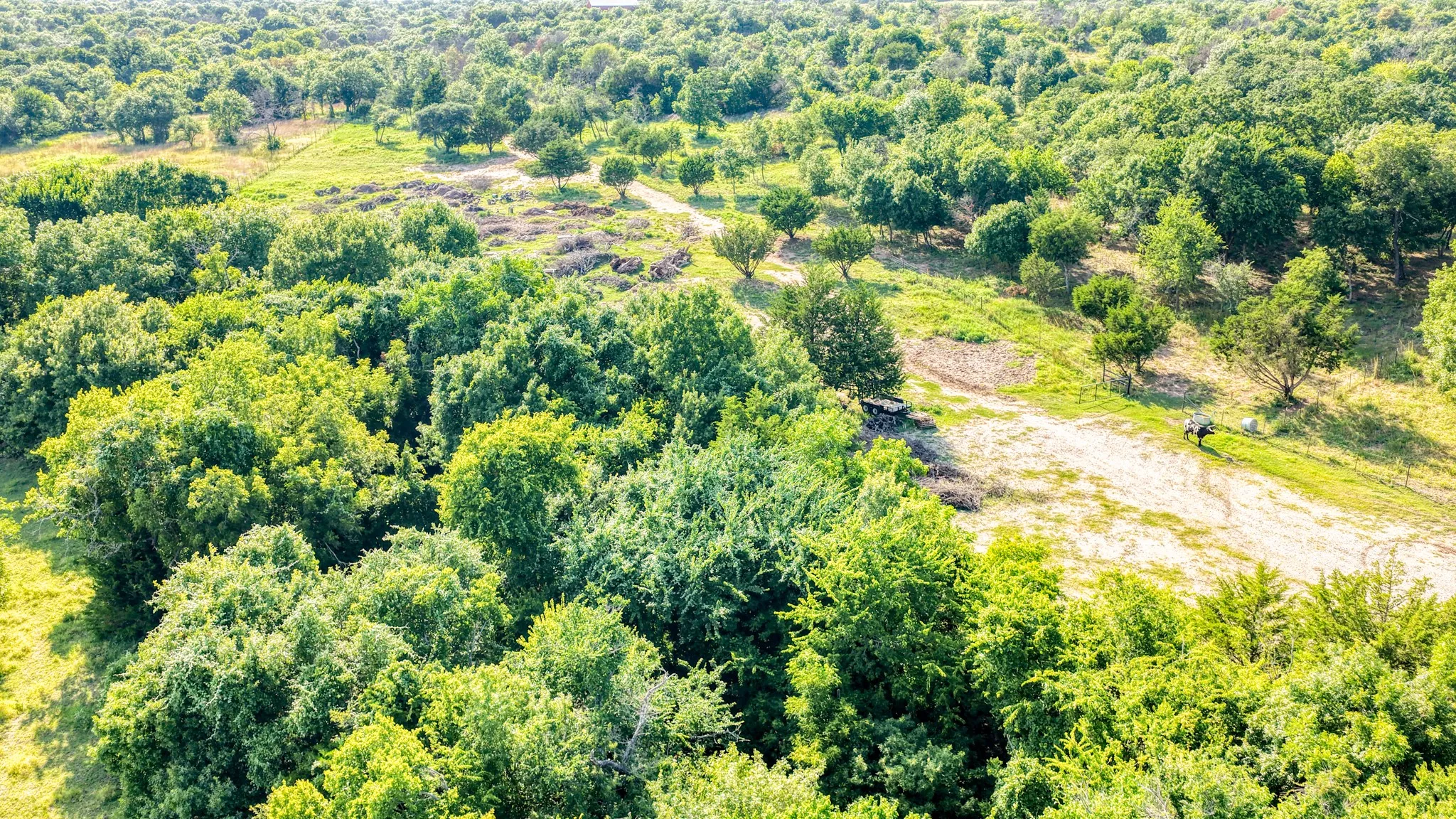 Improved Land For Sale in Parker County , 3749 N Fm 51, Weatherford, Texas 76085, 0, 0, Garage spaces, 0 Sqft, built in 0, mls#21307537, Real Estate Agent in Weatherford, Homes For Sale in Parker county, Homes For Sale in Weatherford, Realtor in Weatherford Texas, Real Estate Brokerage Independent Realty Texas, Luminita Cordes Realtor