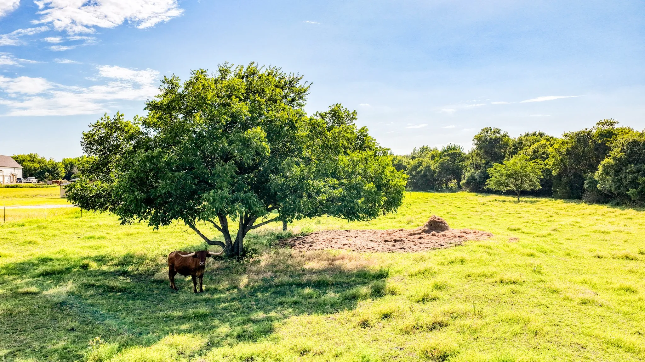 Improved Land For Sale in Parker County , 3749 N Fm 51, Weatherford, Texas 76085, 0, 0, Garage spaces, 0 Sqft, built in 0, mls#21307537, Real Estate Agent in Weatherford, Homes For Sale in Parker county, Homes For Sale in Weatherford, Realtor in Weatherford Texas, Real Estate Brokerage Independent Realty Texas, Luminita Cordes Realtor