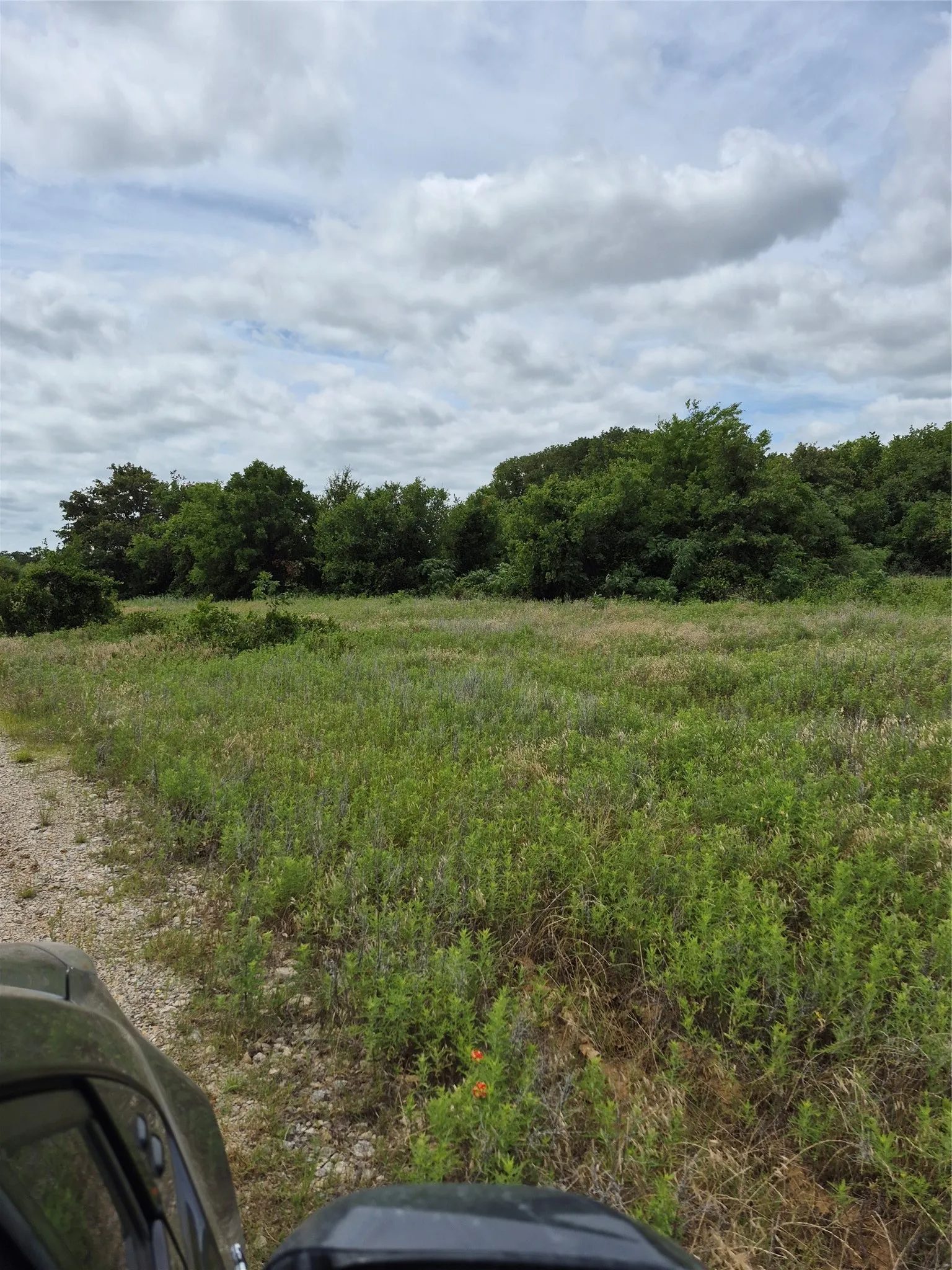 Ranch For Sale in Clay County , TBD FM 175, Henrietta, Texas 76365, 0, 0, Garage spaces, 0 Sqft, built in 0, Price $840,000, mls#21309887, Real Estate Agent in Henrietta, Homes For Sale in Clay county, Homes For Sale in Henrietta, Realtor in Henrietta Texas, Real Estate Brokerage Independent Realty Texas, Luminita Cordes Realtor