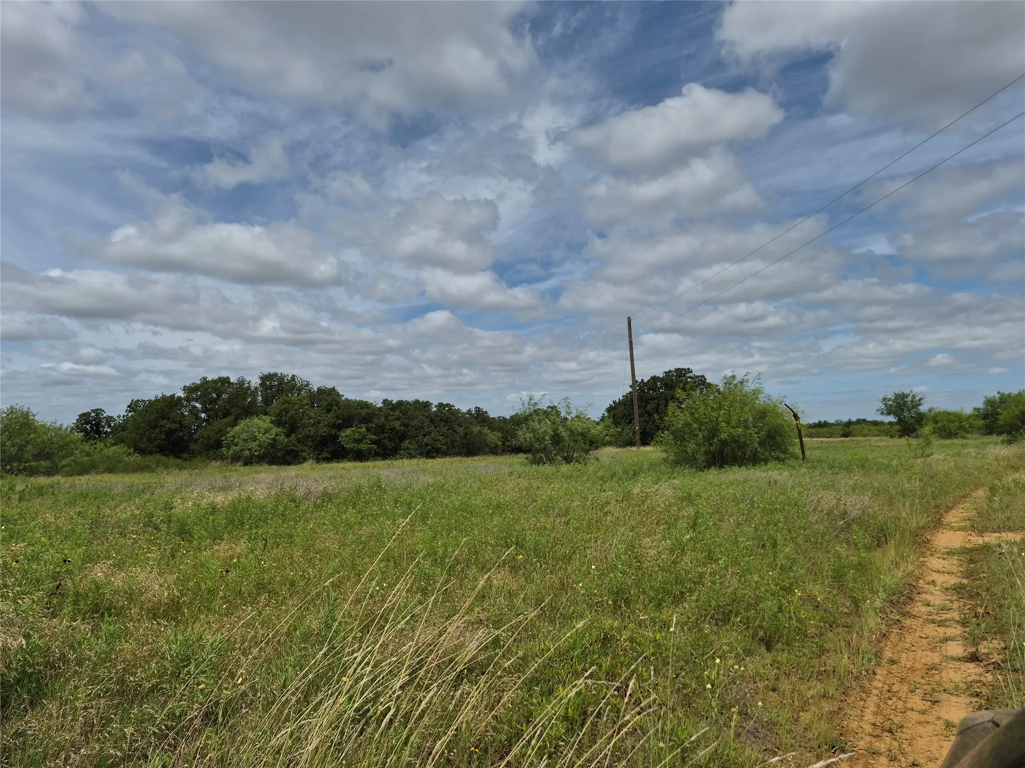 Ranch For Sale in Clay County , TBD FM 175, Henrietta, Texas 76365, 0, 0, Garage spaces, 0 Sqft, built in 0, Price $840,000, mls#21309887, Real Estate Agent in Henrietta, Homes For Sale in Clay county, Homes For Sale in Henrietta, Realtor in Henrietta Texas, Real Estate Brokerage Independent Realty Texas, Luminita Cordes Realtor