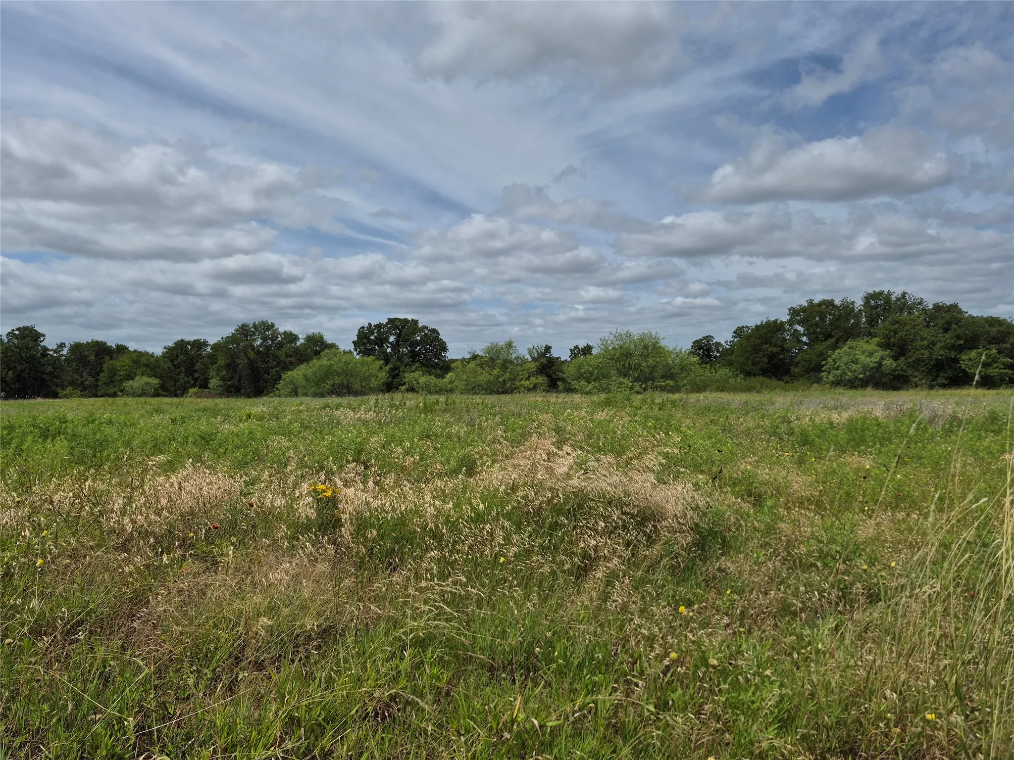 Ranch For Sale in Clay County , TBD FM 175, Henrietta, Texas 76365, 0, 0, Garage spaces, 0 Sqft, built in 0, Price $840,000, mls#21309887, Real Estate Agent in Henrietta, Homes For Sale in Clay county, Homes For Sale in Henrietta, Realtor in Henrietta Texas, Real Estate Brokerage Independent Realty Texas, Luminita Cordes Realtor