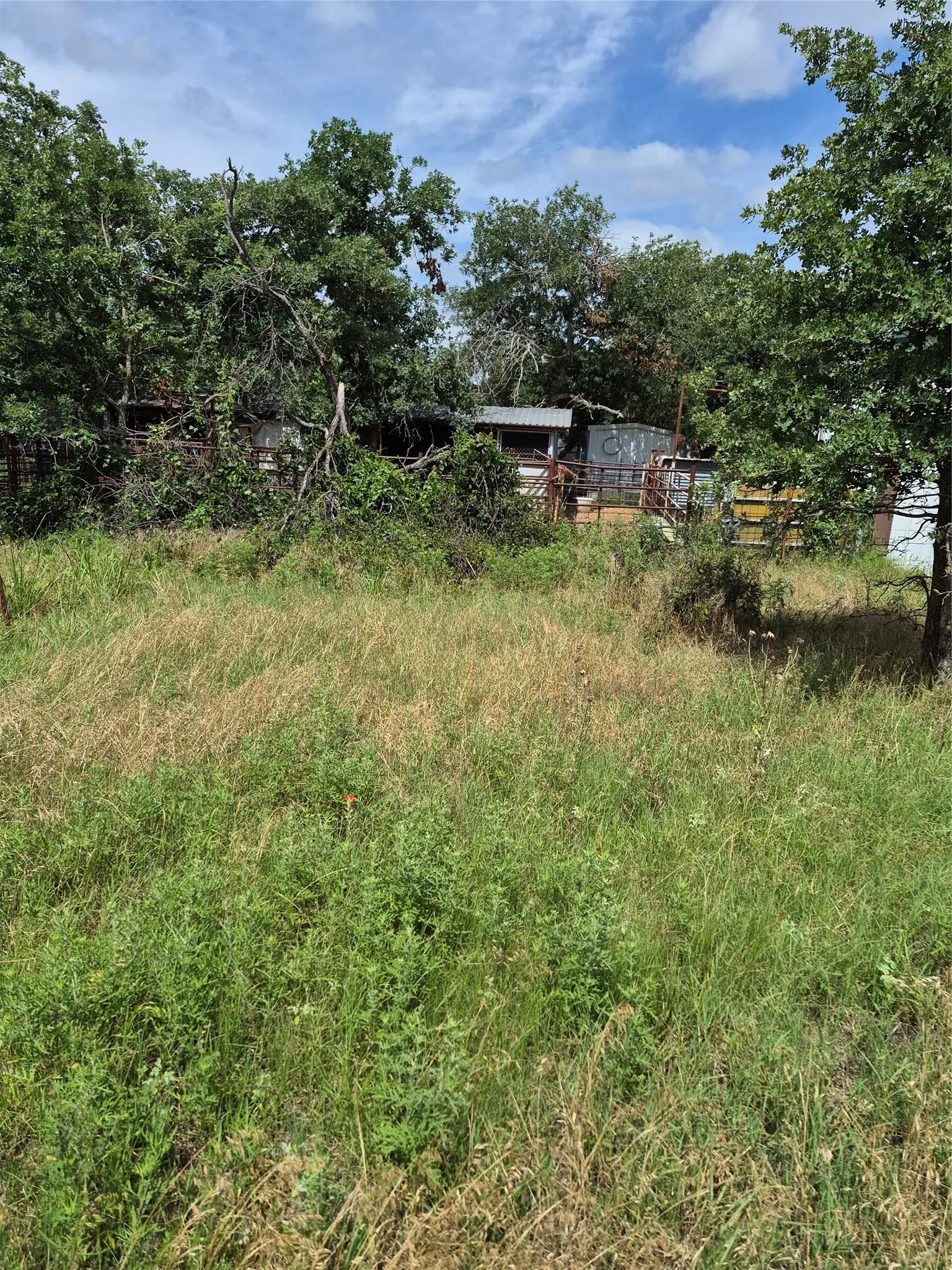 Ranch For Sale in Clay County , TBD FM 175, Henrietta, Texas 76365, 0, 0, Garage spaces, 0 Sqft, built in 0, Price $840,000, mls#21309887, Real Estate Agent in Henrietta, Homes For Sale in Clay county, Homes For Sale in Henrietta, Realtor in Henrietta Texas, Real Estate Brokerage Independent Realty Texas, Luminita Cordes Realtor