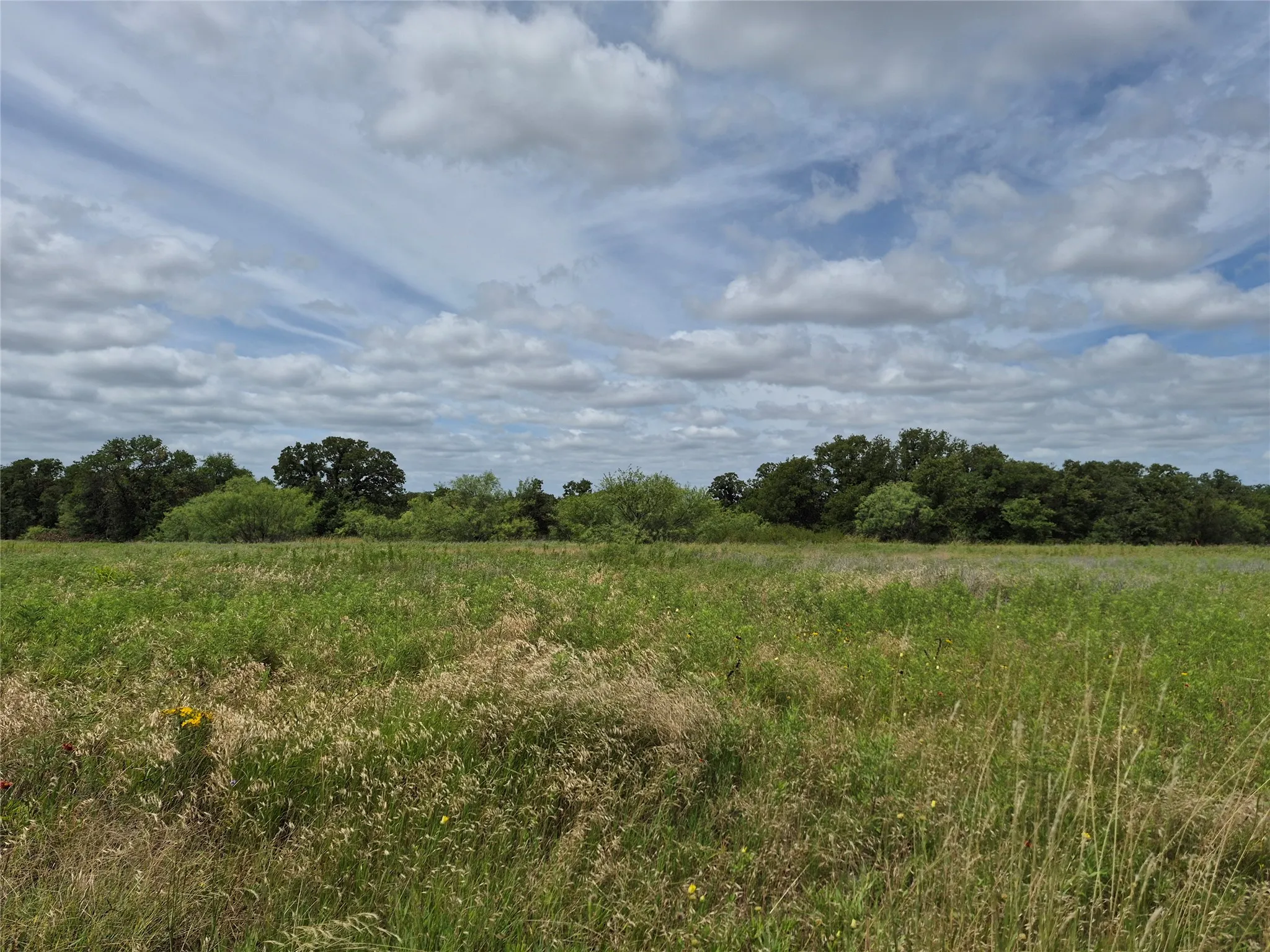 Ranch For Sale in Clay County , TBD FM 175, Henrietta, Texas 76365, 0, 0, Garage spaces, 0 Sqft, built in 0, Price $840,000, mls#21309887, Real Estate Agent in Henrietta, Homes For Sale in Clay county, Homes For Sale in Henrietta, Realtor in Henrietta Texas, Real Estate Brokerage Independent Realty Texas, Luminita Cordes Realtor