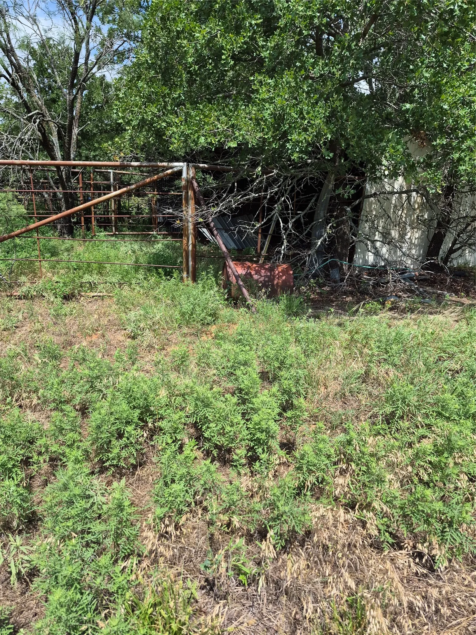 Ranch For Sale in Clay County , TBD FM 175, Henrietta, Texas 76365, 0, 0, Garage spaces, 0 Sqft, built in 0, Price $840,000, mls#21309887, Real Estate Agent in Henrietta, Homes For Sale in Clay county, Homes For Sale in Henrietta, Realtor in Henrietta Texas, Real Estate Brokerage Independent Realty Texas, Luminita Cordes Realtor