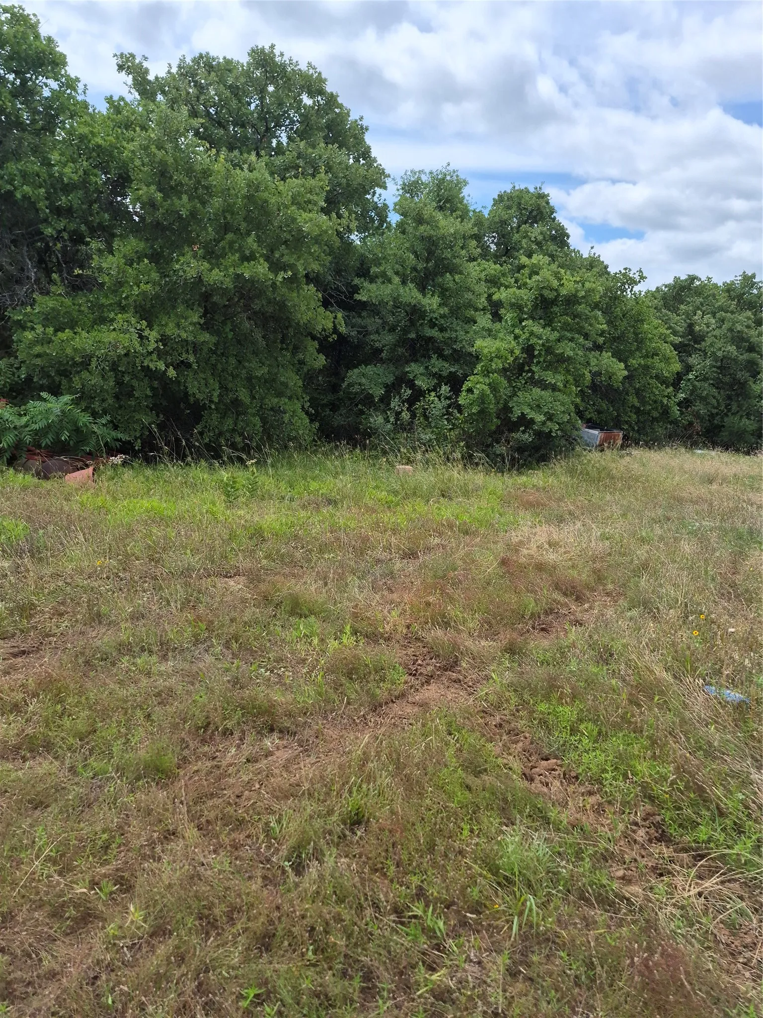 Ranch For Sale in Clay County , TBD FM 175, Henrietta, Texas 76365, 0, 0, Garage spaces, 0 Sqft, built in 0, Price $840,000, mls#21309887, Real Estate Agent in Henrietta, Homes For Sale in Clay county, Homes For Sale in Henrietta, Realtor in Henrietta Texas, Real Estate Brokerage Independent Realty Texas, Luminita Cordes Realtor