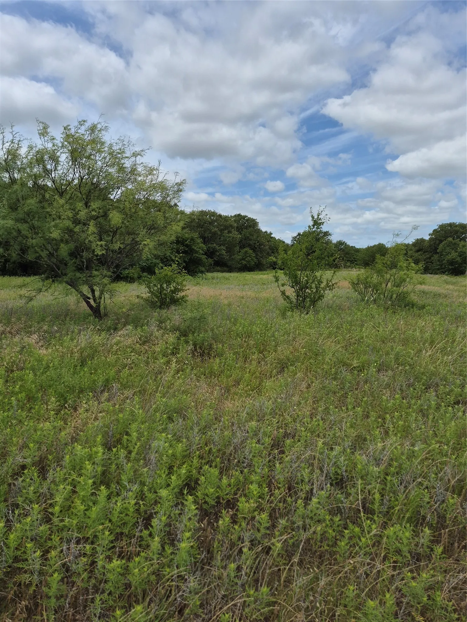 Ranch For Sale in Clay County , TBD FM 175, Henrietta, Texas 76365, 0, 0, Garage spaces, 0 Sqft, built in 0, Price $840,000, mls#21309887, Real Estate Agent in Henrietta, Homes For Sale in Clay county, Homes For Sale in Henrietta, Realtor in Henrietta Texas, Real Estate Brokerage Independent Realty Texas, Luminita Cordes Realtor