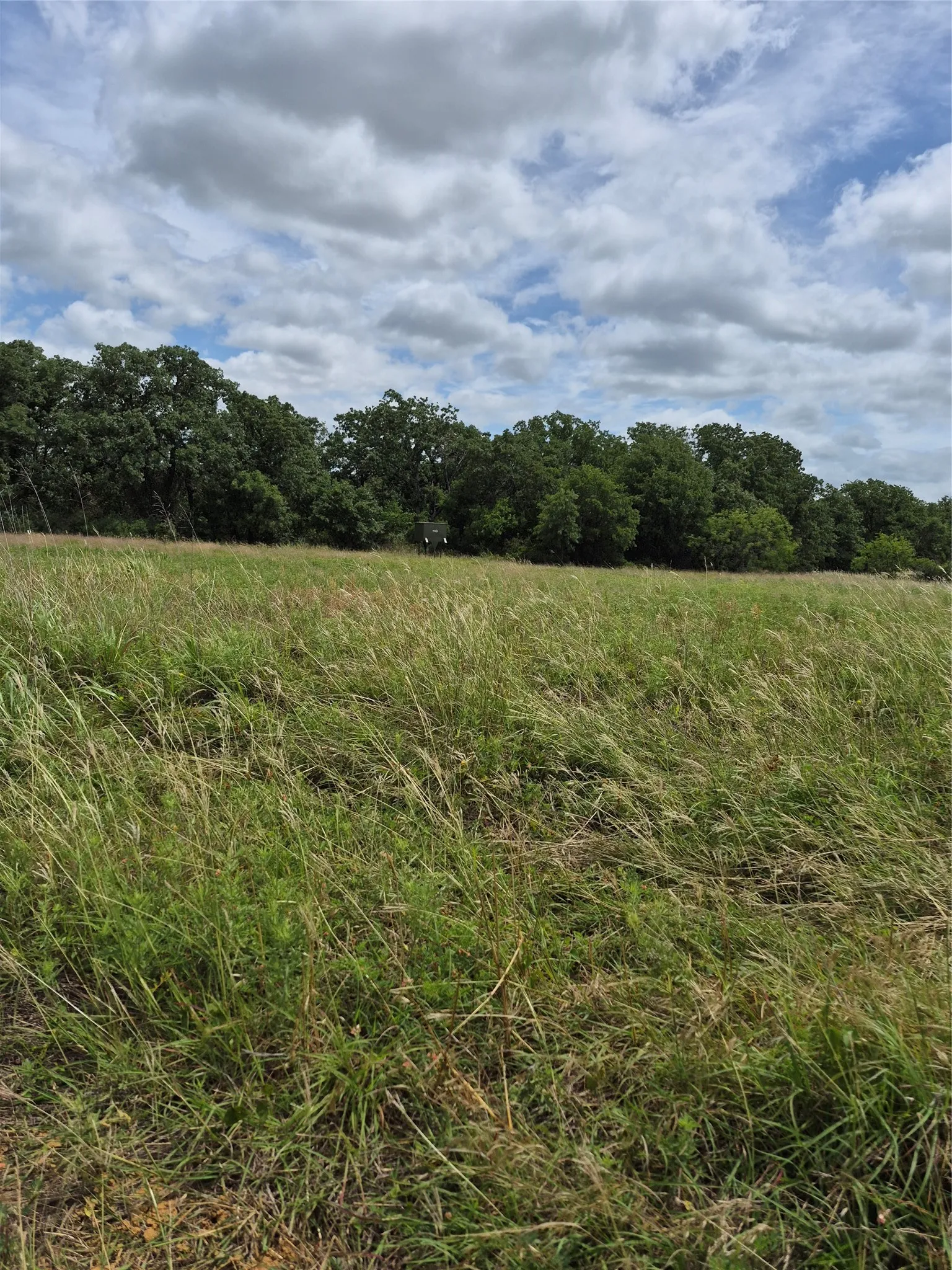 Ranch For Sale in Clay County , TBD FM 175, Henrietta, Texas 76365, 0, 0, Garage spaces, 0 Sqft, built in 0, Price $840,000, mls#21309887, Real Estate Agent in Henrietta, Homes For Sale in Clay county, Homes For Sale in Henrietta, Realtor in Henrietta Texas, Real Estate Brokerage Independent Realty Texas, Luminita Cordes Realtor