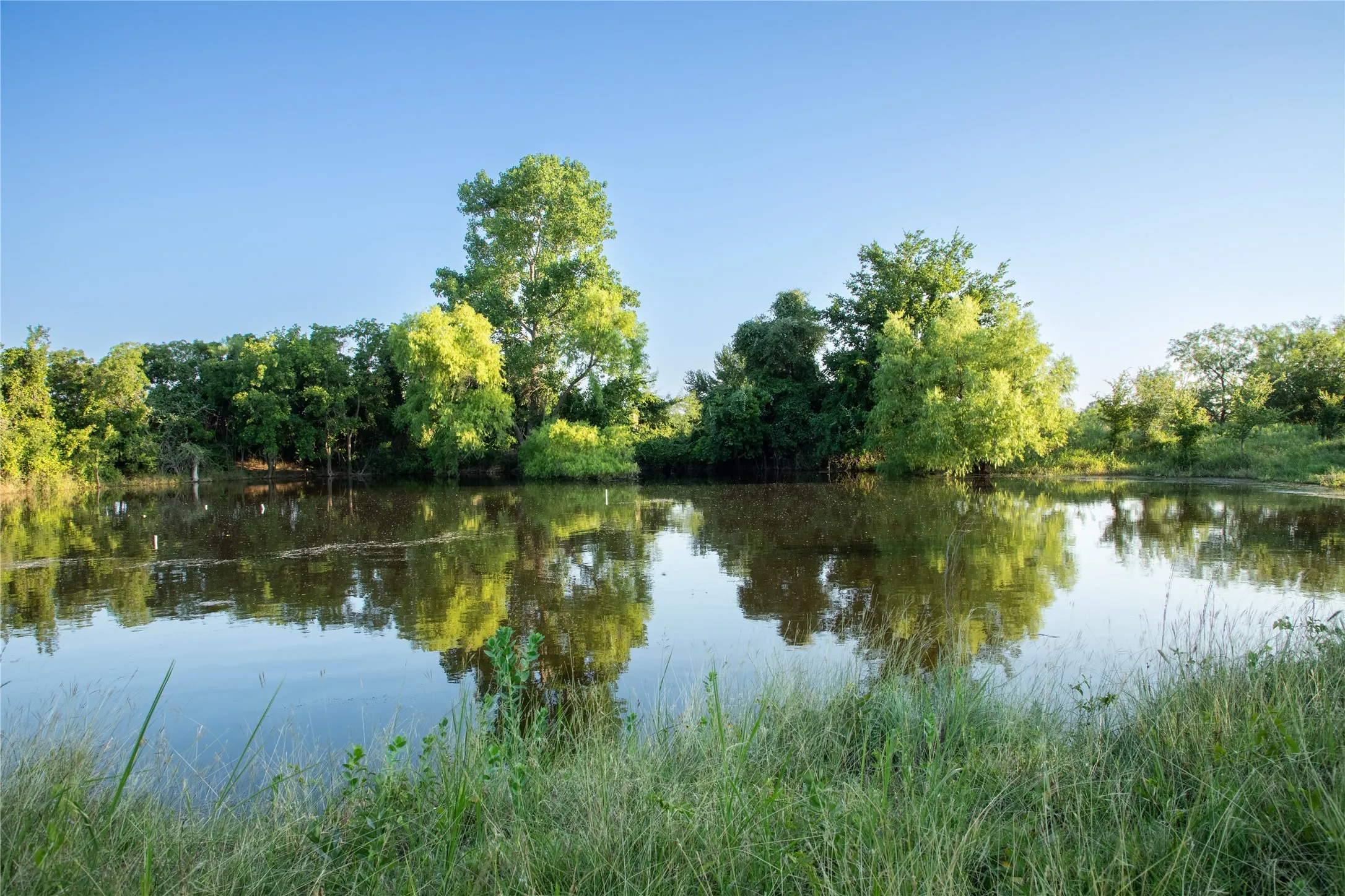 Farm For Sale in Parker County , 1324 Tidwell Road, Weatherford, Texas 76087, 4 Bedroom, 3 Bathroom, 2 Garage spaces, 2,820 Sqft, built in 1995, mls#21308385, Real Estate Agent in Weatherford, Homes For Sale in Parker county, Homes For Sale in Weatherford, Realtor in Weatherford Texas, Real Estate Brokerage Independent Realty Texas, Luminita Cordes Realtor