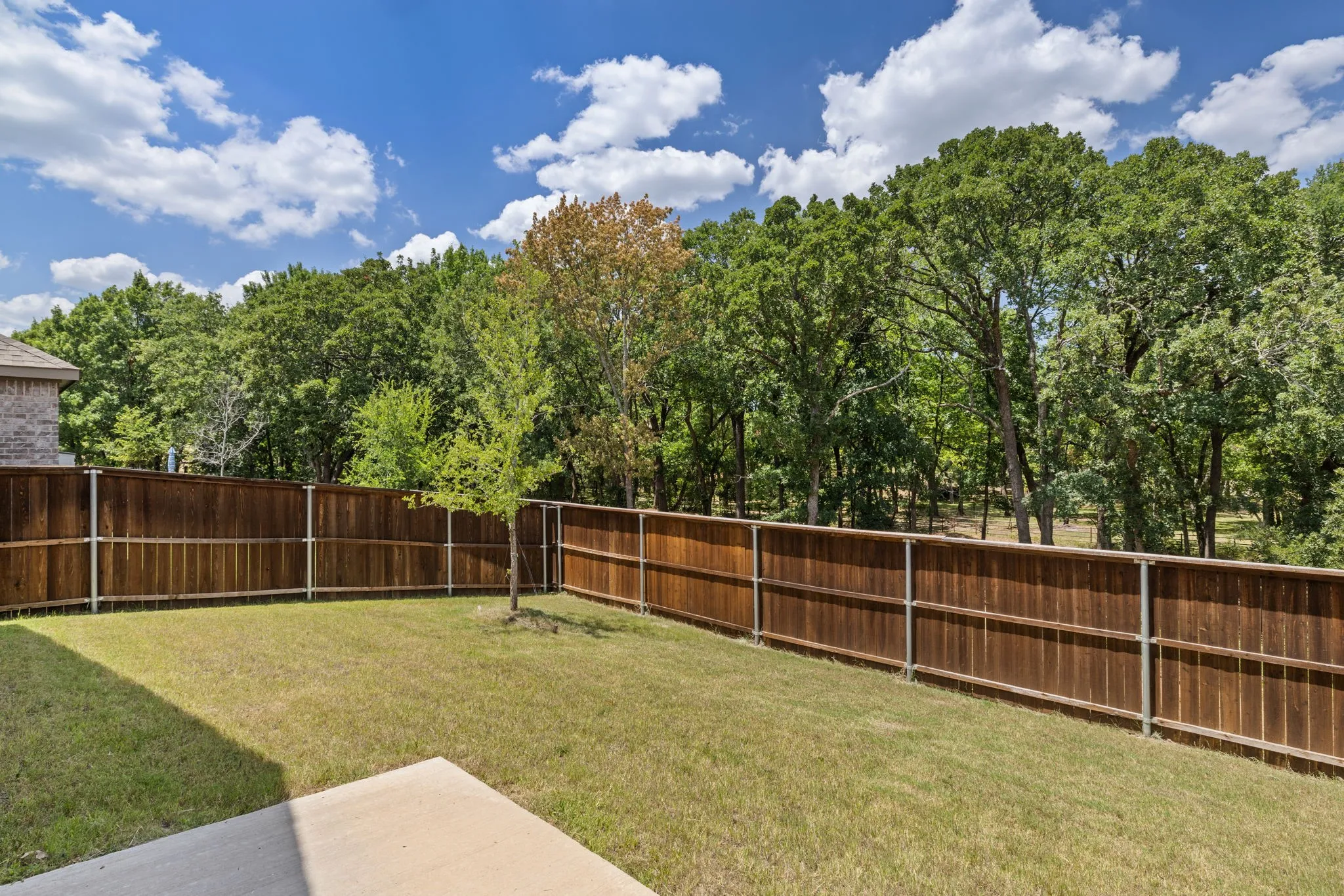 View of expansive backyard featuring a lush lawn, a mature privacy fence, and a concrete patio