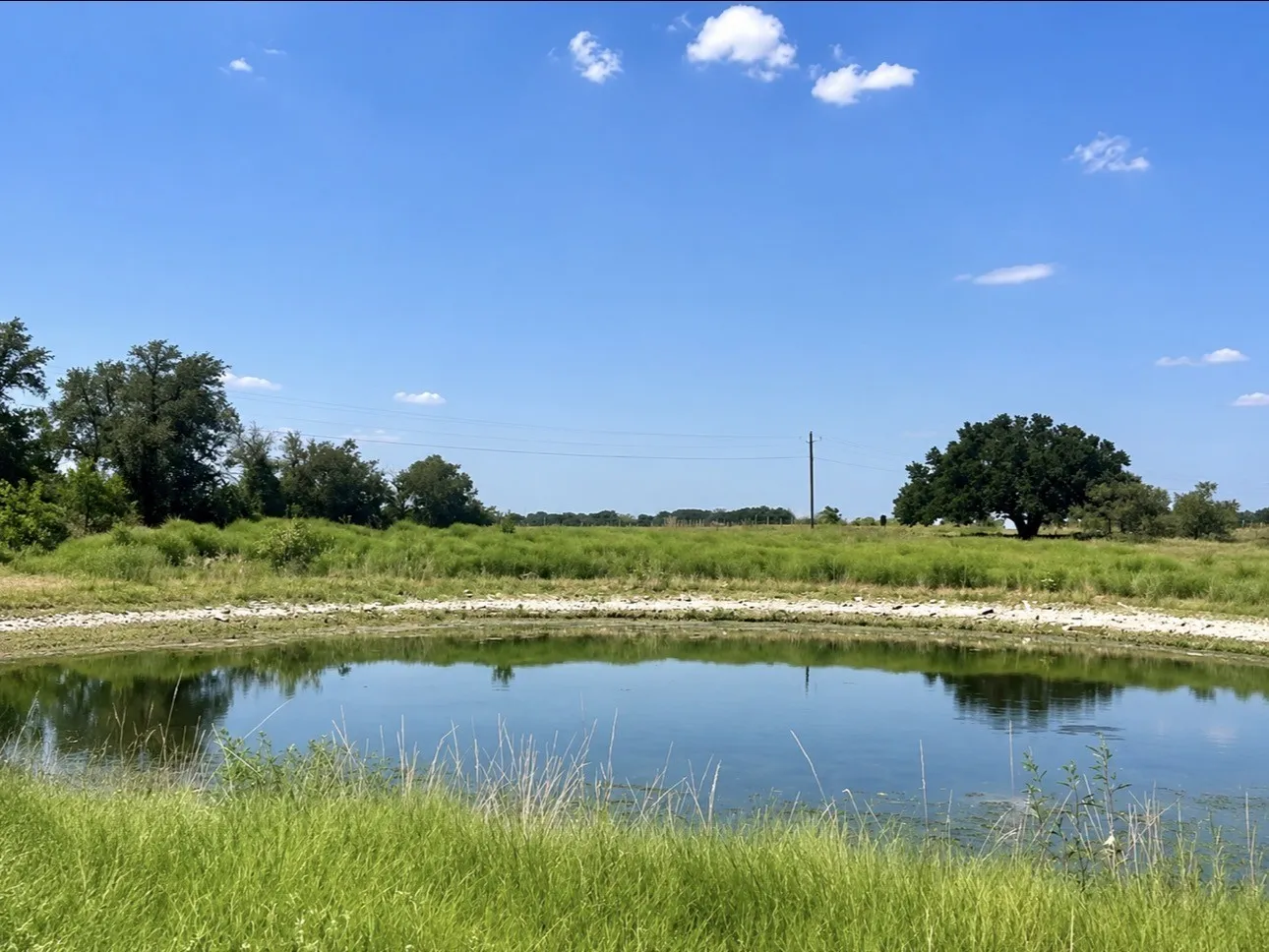 Unimproved Land For Sale in Mills County , TBD 130 County Road 242, Priddy, Texas 76442, 0, 0, Garage spaces, 0 Sqft, built in 0, mls#21307885, Real Estate Agent in Priddy, Homes For Sale in Mills county, Homes For Sale in Priddy, Realtor in Priddy Texas, Real Estate Brokerage Independent Realty Texas, Luminita Cordes Realtor