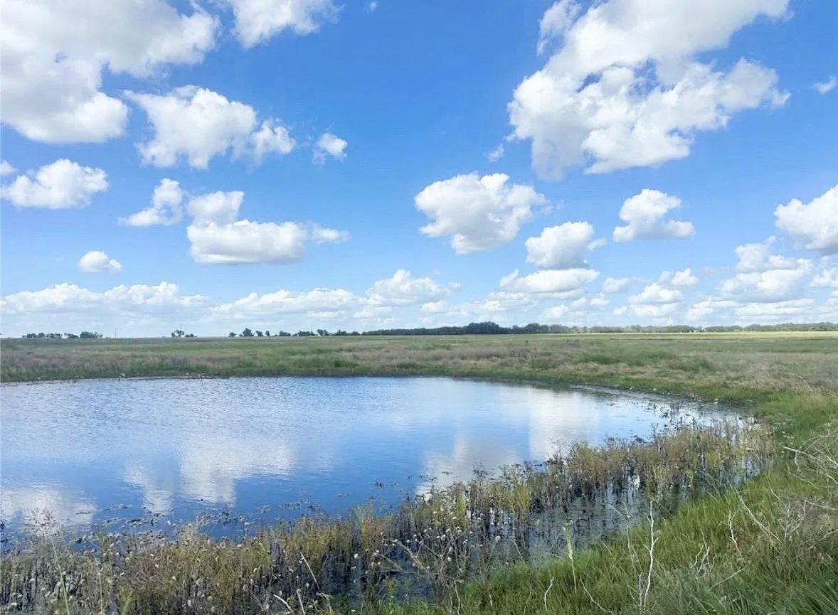 Lot 78 pond