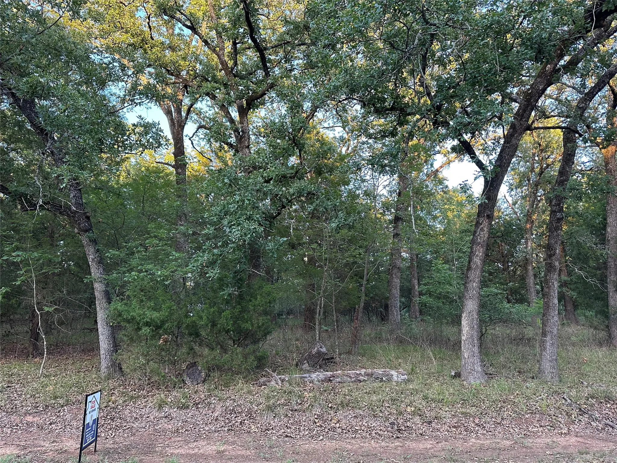 Unimproved Land For Sale in Henderson County , 101 Cedar Oaks Drive, Mabank, Texas 75156, 0, 0, Garage spaces, 0 Sqft, built in 0, Price $22,900, mls#21309961, Real Estate Agent in Mabank, Homes For Sale in Henderson county, Homes For Sale in Mabank, Realtor in Mabank Texas, Real Estate Brokerage Independent Realty Texas, Luminita Cordes Realtor