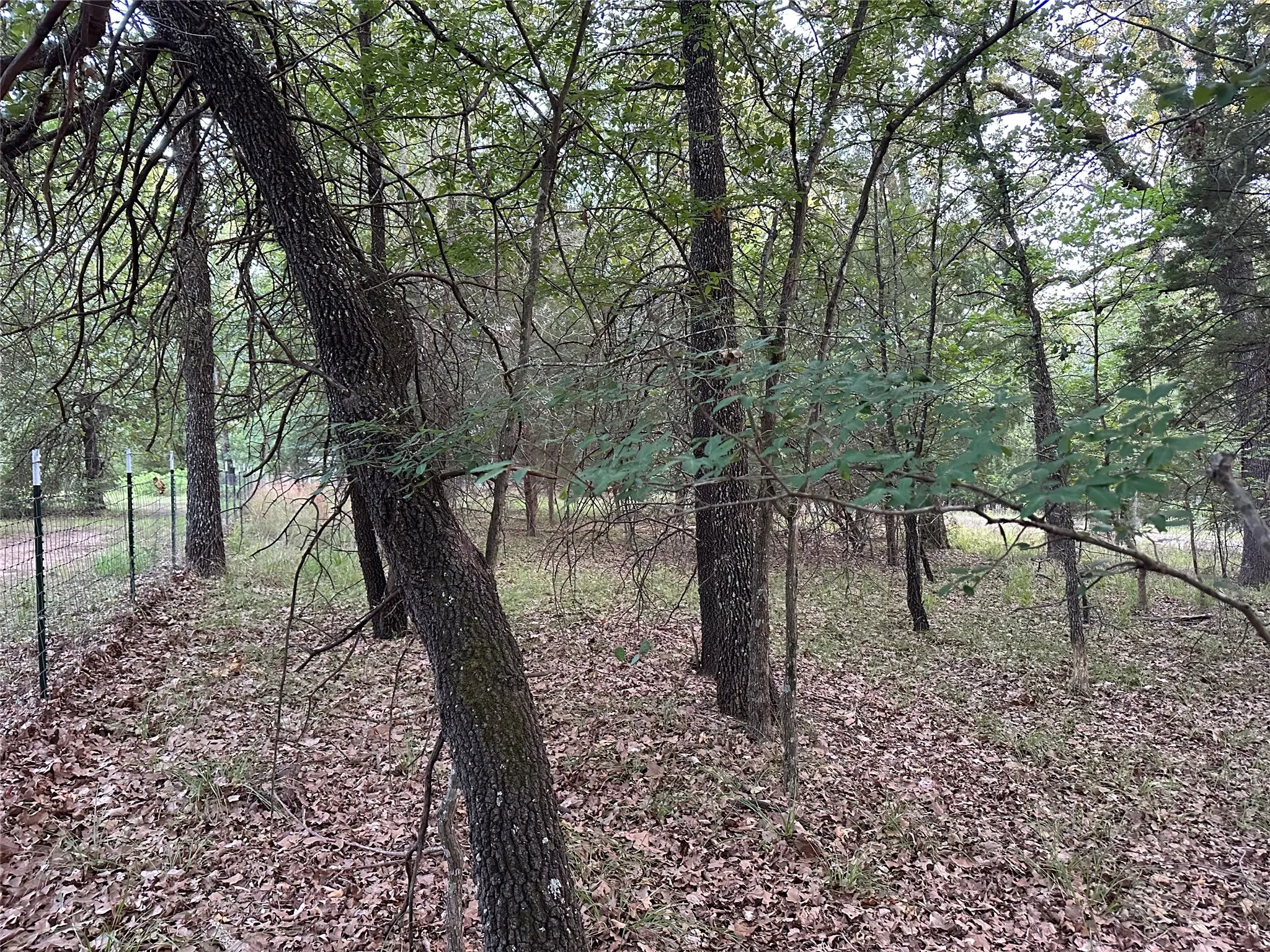 Unimproved Land For Sale in Henderson County , 101 Cedar Oaks Drive, Mabank, Texas 75156, 0, 0, Garage spaces, 0 Sqft, built in 0, Price $22,900, mls#21309961, Real Estate Agent in Mabank, Homes For Sale in Henderson county, Homes For Sale in Mabank, Realtor in Mabank Texas, Real Estate Brokerage Independent Realty Texas, Luminita Cordes Realtor