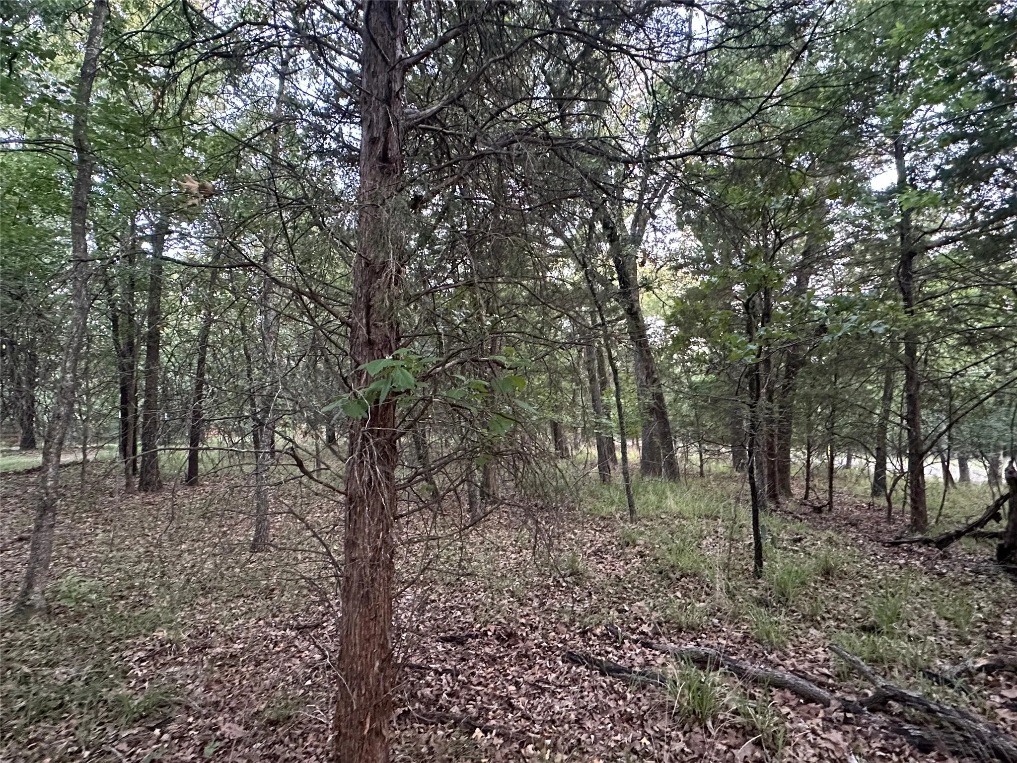 Unimproved Land For Sale in Henderson County , 101 Cedar Oaks Drive, Mabank, Texas 75156, 0, 0, Garage spaces, 0 Sqft, built in 0, Price $22,900, mls#21309961, Real Estate Agent in Mabank, Homes For Sale in Henderson county, Homes For Sale in Mabank, Realtor in Mabank Texas, Real Estate Brokerage Independent Realty Texas, Luminita Cordes Realtor
