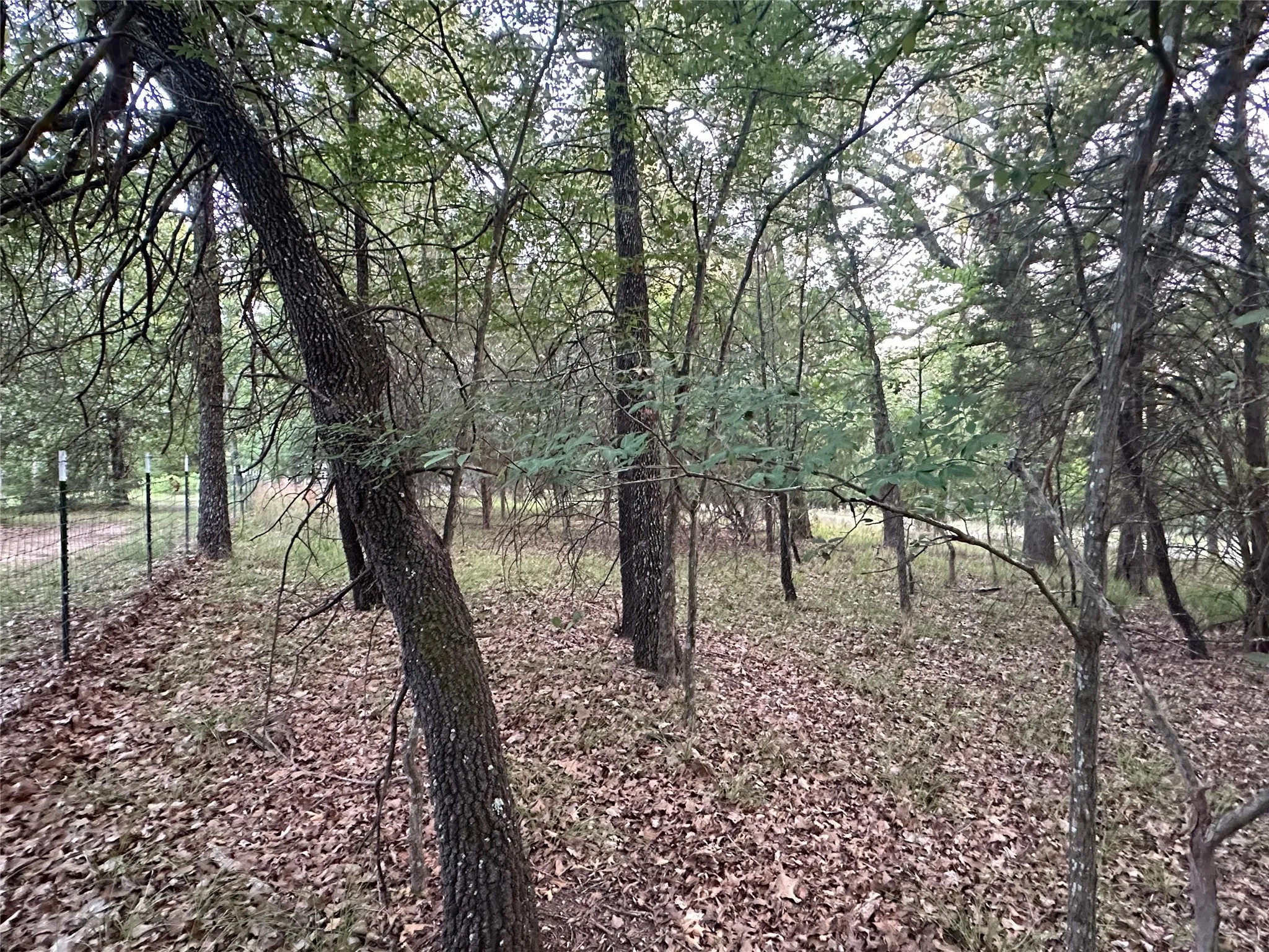 Unimproved Land For Sale in Henderson County , 101 Cedar Oaks Drive, Mabank, Texas 75156, 0, 0, Garage spaces, 0 Sqft, built in 0, Price $22,900, mls#21309961, Real Estate Agent in Mabank, Homes For Sale in Henderson county, Homes For Sale in Mabank, Realtor in Mabank Texas, Real Estate Brokerage Independent Realty Texas, Luminita Cordes Realtor