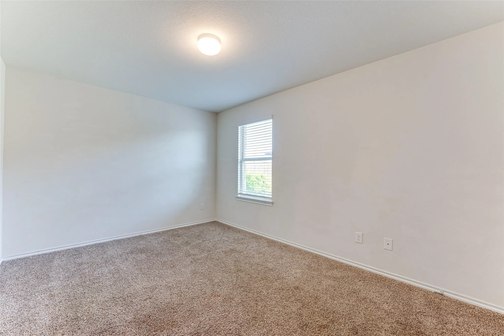 Bright room featuring neutral-toned carpet, a single window with blinds, and a flush-mount ceiling light fixture