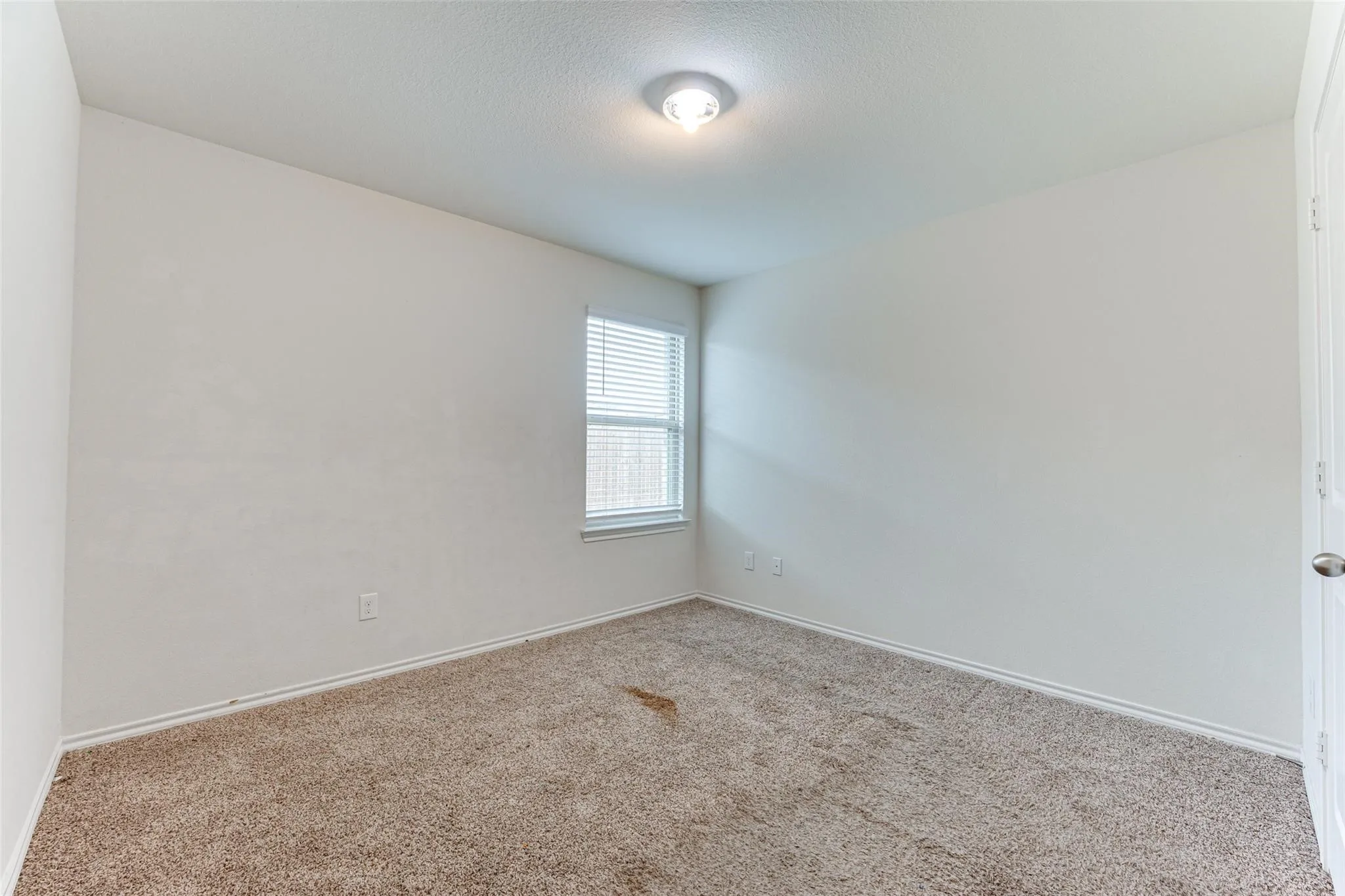 Neutral wall color with baseboard trim, carpet flooring, a single window with blinds, and a flush mount ceiling light fixture