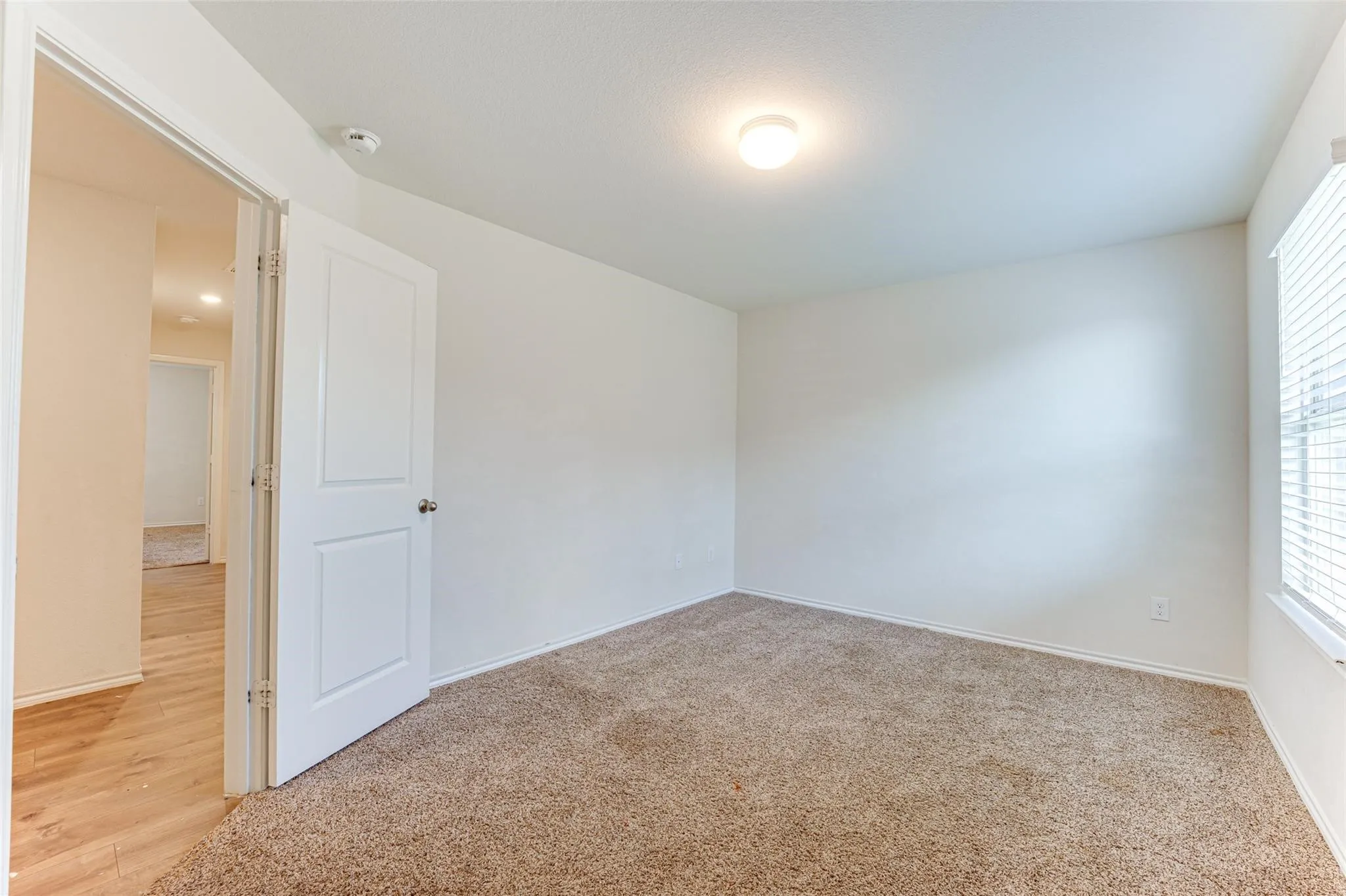 Neutral-toned carpeting paired with light-colored walls and trim
