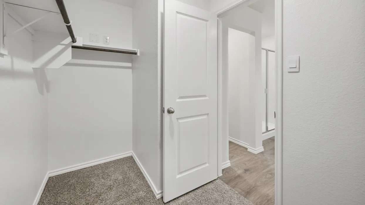 Walk-in closet featuring carpet flooring and white painted walls