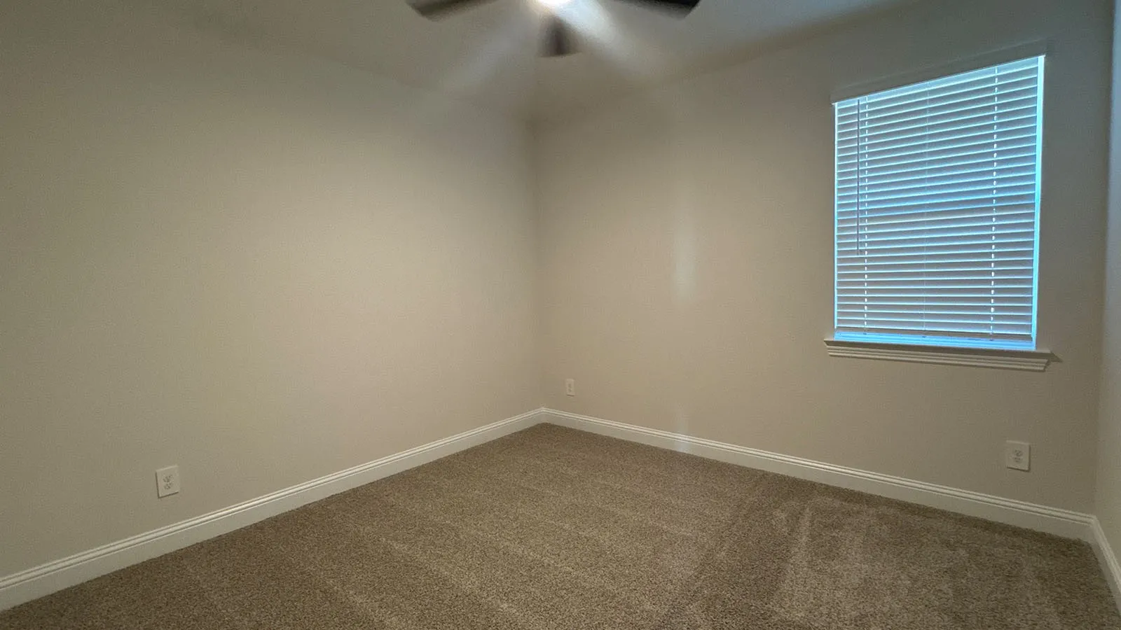 Neutral-toned walls with contrasting white trim
