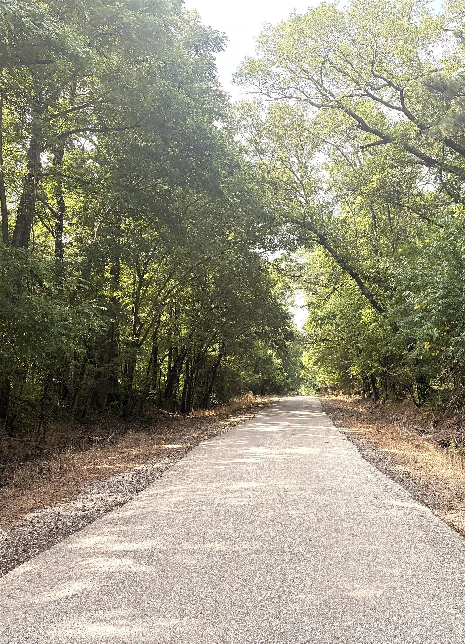 over 1,300' of paved County Road Frontage