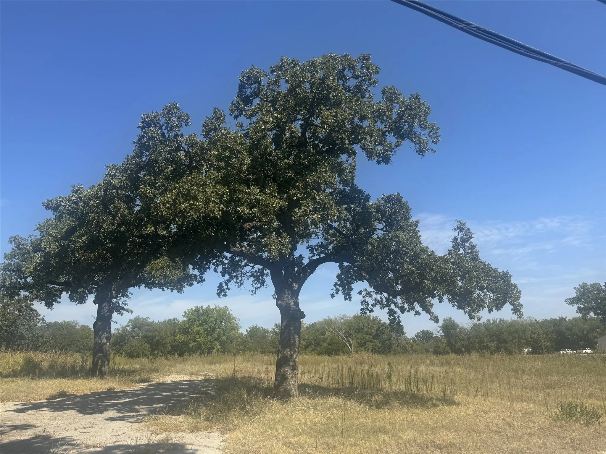 Unimproved Land For Sale in Wise County , 525 Tx-114, Boyd, Texas 76078, 0, 0, Garage spaces, 0 Sqft, built in 0, Price $525,000, mls#21310376, Real Estate Agent in Boyd, Homes For Sale in Wise county, Homes For Sale in Boyd, Realtor in Boyd Texas, Real Estate Brokerage Independent Realty Texas, Luminita Cordes Realtor