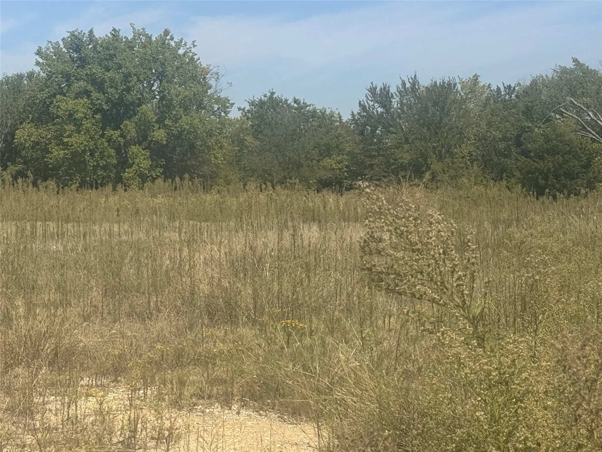 Unimproved Land For Sale in Wise County , 525 Tx-114, Boyd, Texas 76078, 0, 0, Garage spaces, 0 Sqft, built in 0, Price $525,000, mls#21310376, Real Estate Agent in Boyd, Homes For Sale in Wise county, Homes For Sale in Boyd, Realtor in Boyd Texas, Real Estate Brokerage Independent Realty Texas, Luminita Cordes Realtor