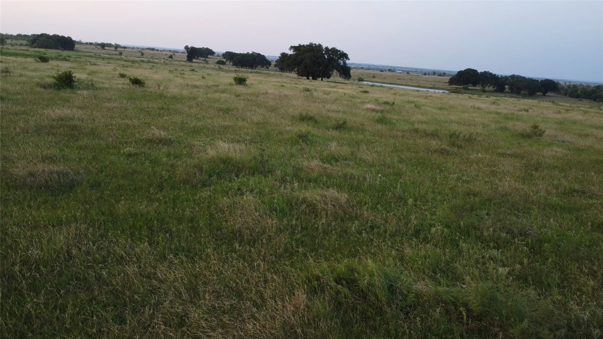 Unimproved Land For Sale in Comanche County , TBD Farm to Market 2823, Dublin, Texas 76446, 0, 0, Garage spaces, 0 Sqft, built in 0, Price $245,000, mls#21310283, Real Estate Agent in Dublin, Homes For Sale in Comanche county, Homes For Sale in Dublin, Realtor in Dublin Texas, Real Estate Brokerage Independent Realty Texas, Luminita Cordes Realtor