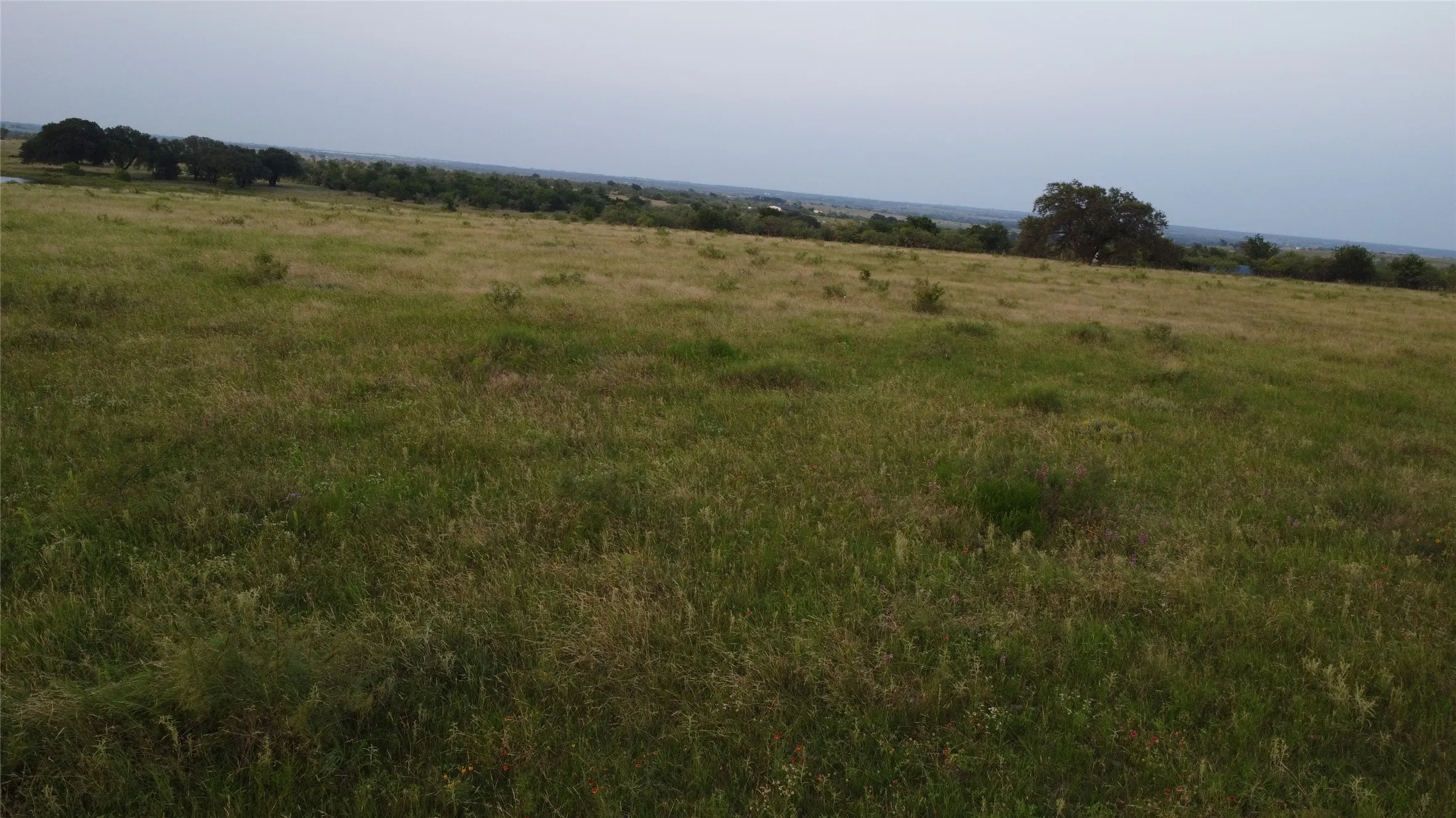 Unimproved Land For Sale in Comanche County , TBD Farm to Market 2823, Dublin, Texas 76446, 0, 0, Garage spaces, 0 Sqft, built in 0, Price $245,000, mls#21310283, Real Estate Agent in Dublin, Homes For Sale in Comanche county, Homes For Sale in Dublin, Realtor in Dublin Texas, Real Estate Brokerage Independent Realty Texas, Luminita Cordes Realtor