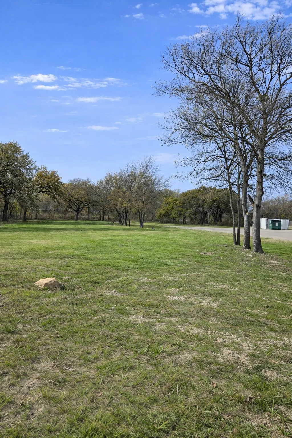 View of grassy yard