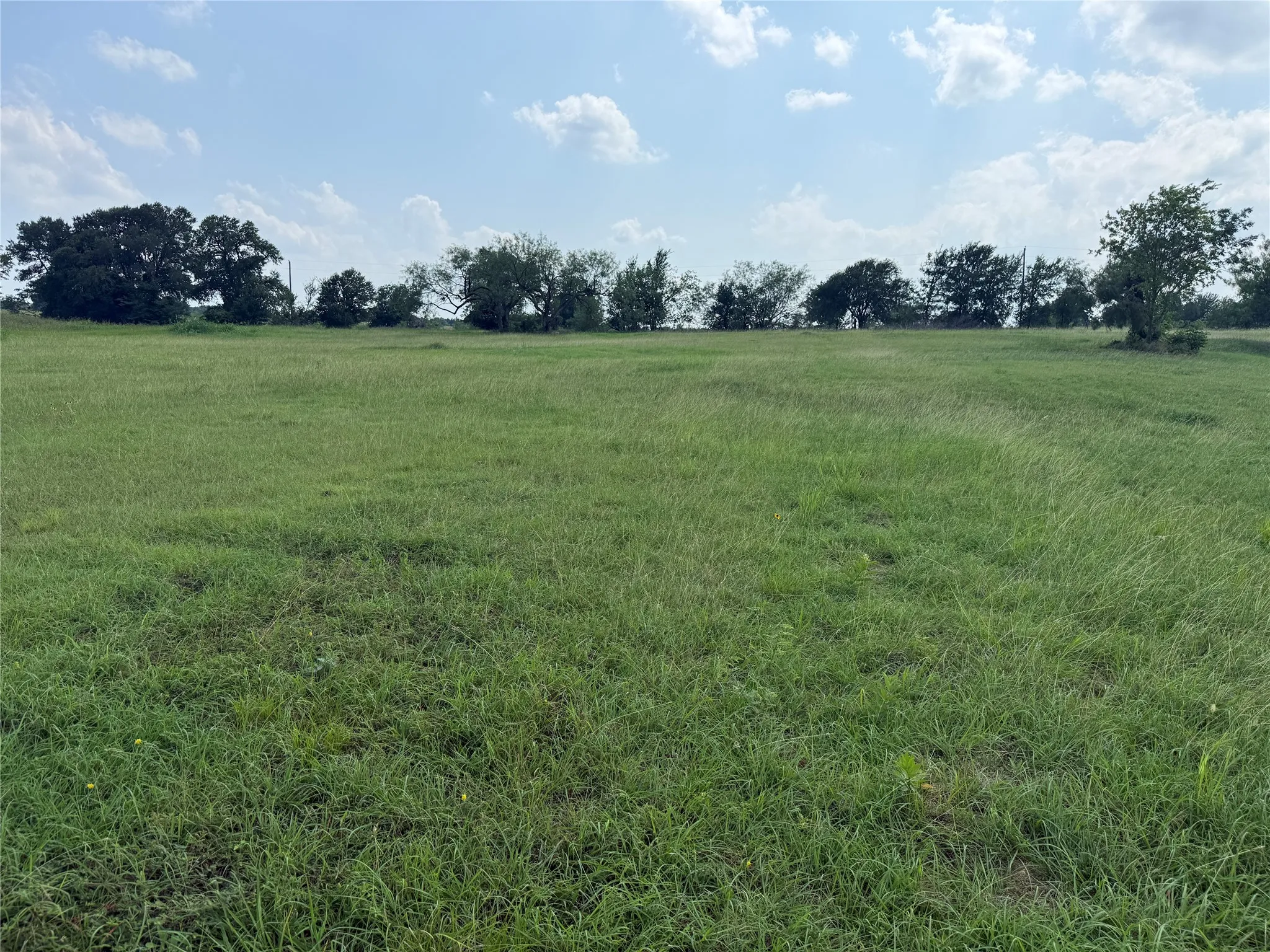 Natural tree line provides character and privacy along the property edge.