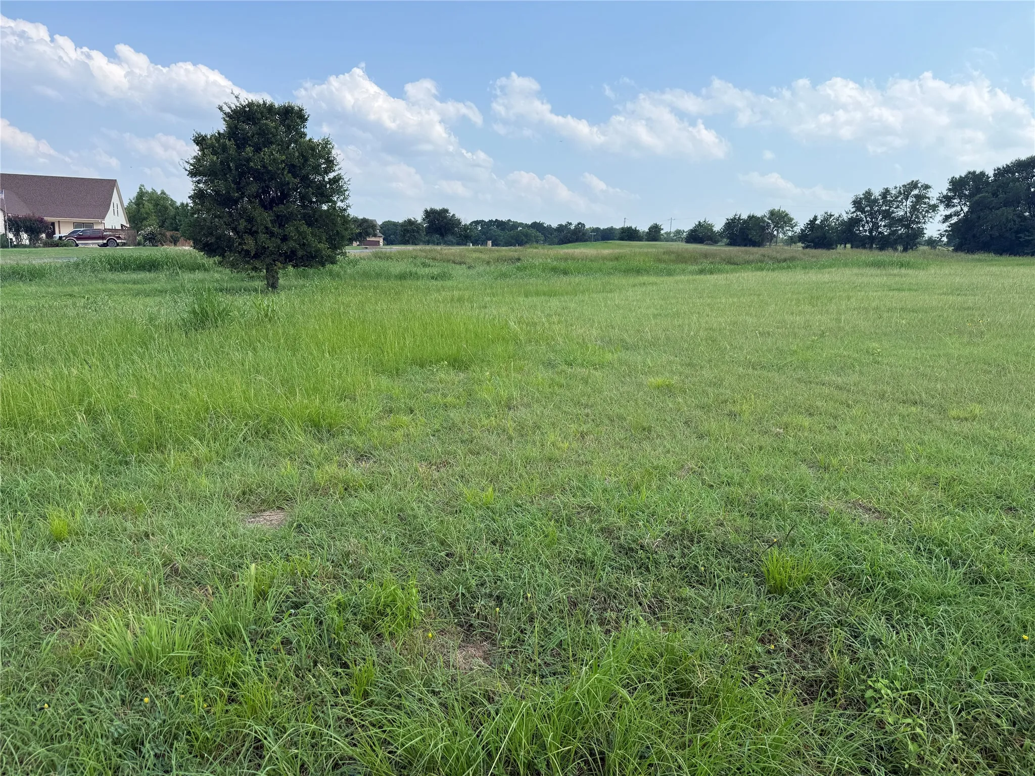 Gently rolling terrain creates an inviting setting for future construction.