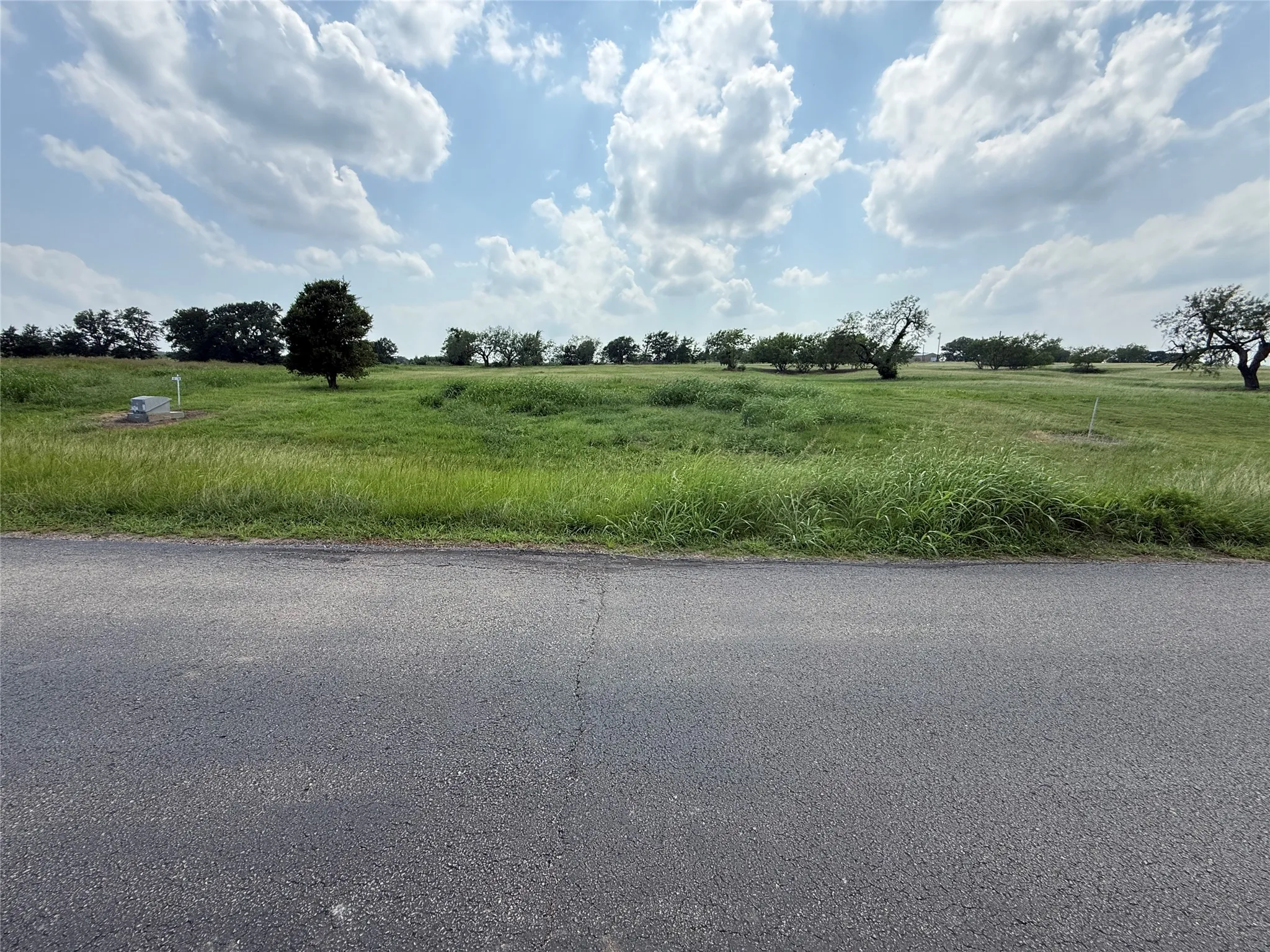 Expansive parcel featuring a verdant landscape, mature trees, and a clear sky