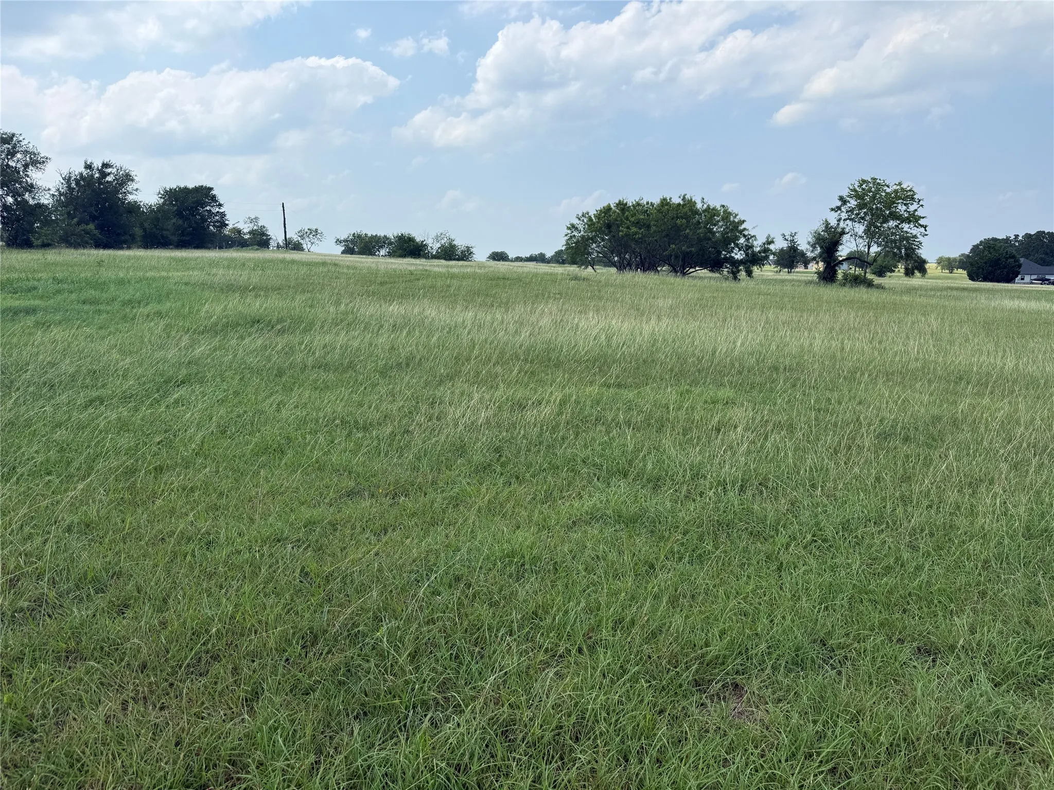 Broad level area ideal for a custom home floorplan.