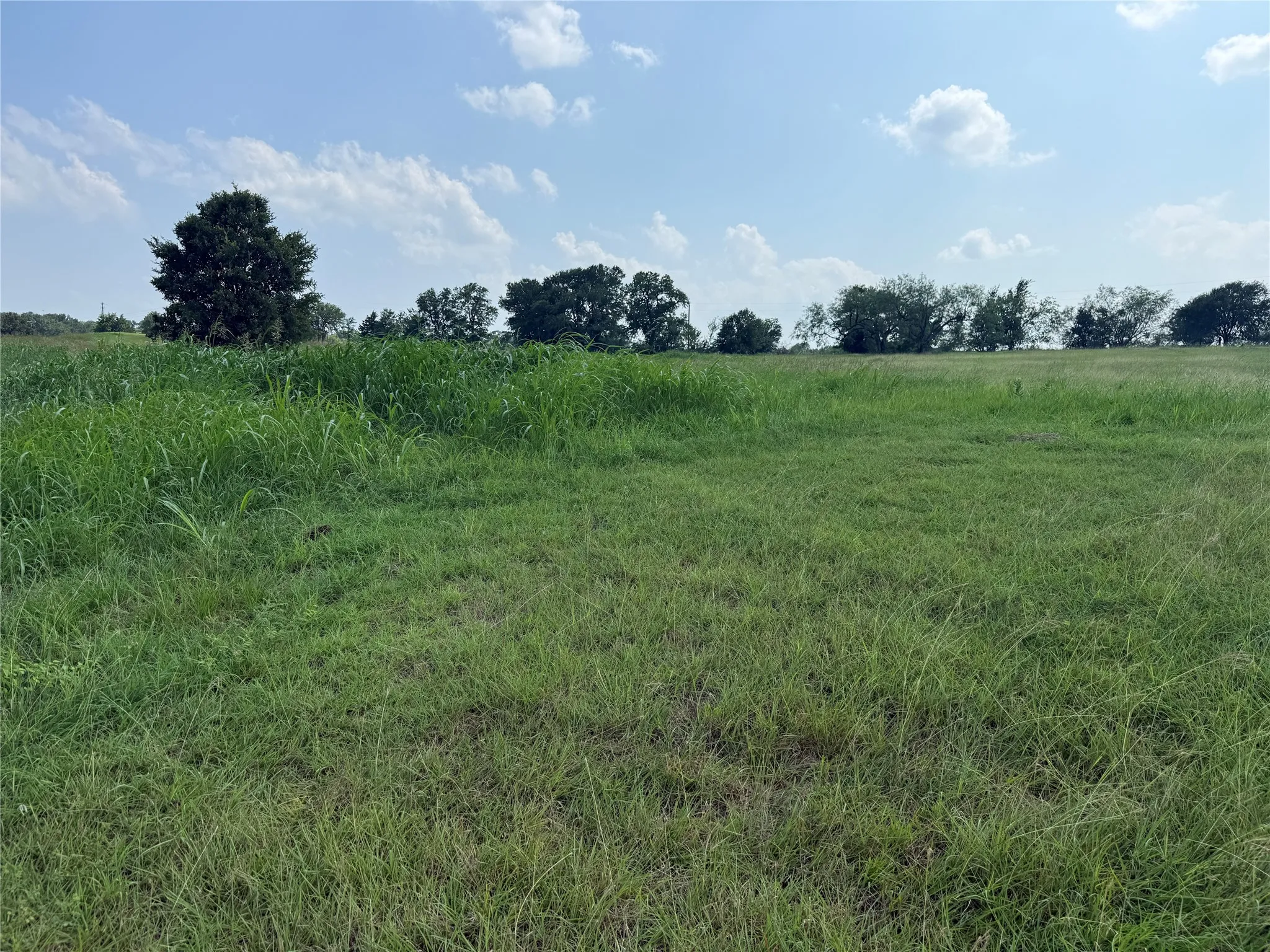 Green space and native growth contribute to a peaceful atmosphere.