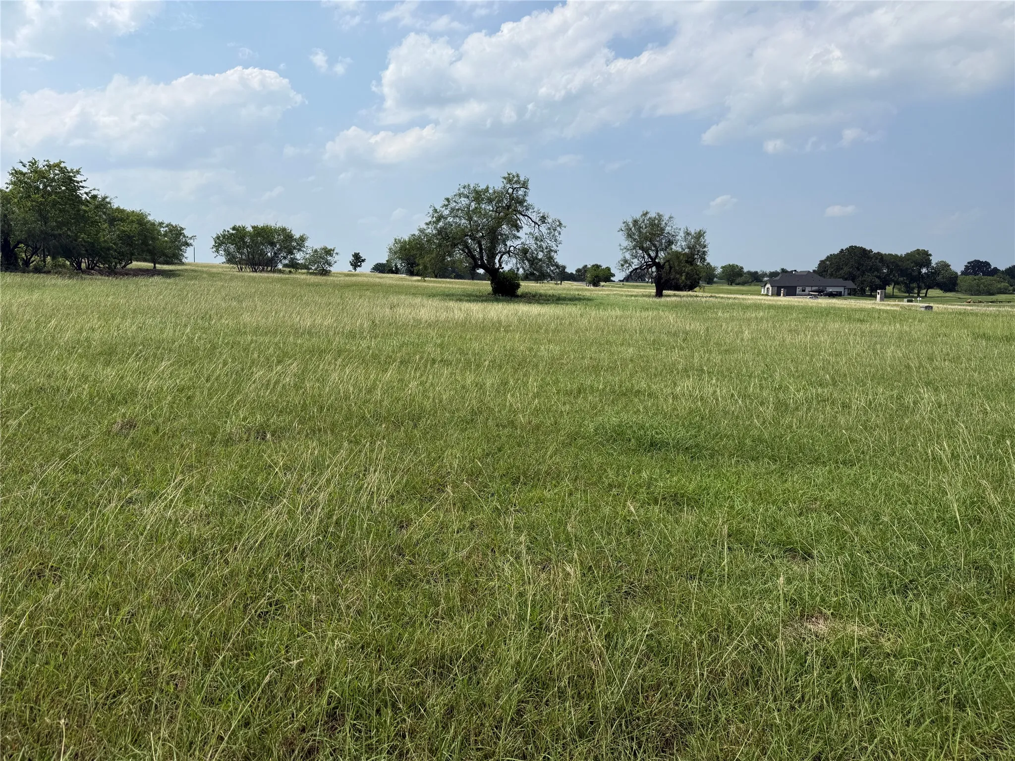 Expansive grassy area offering flexibility for home and outdoor living spaces.