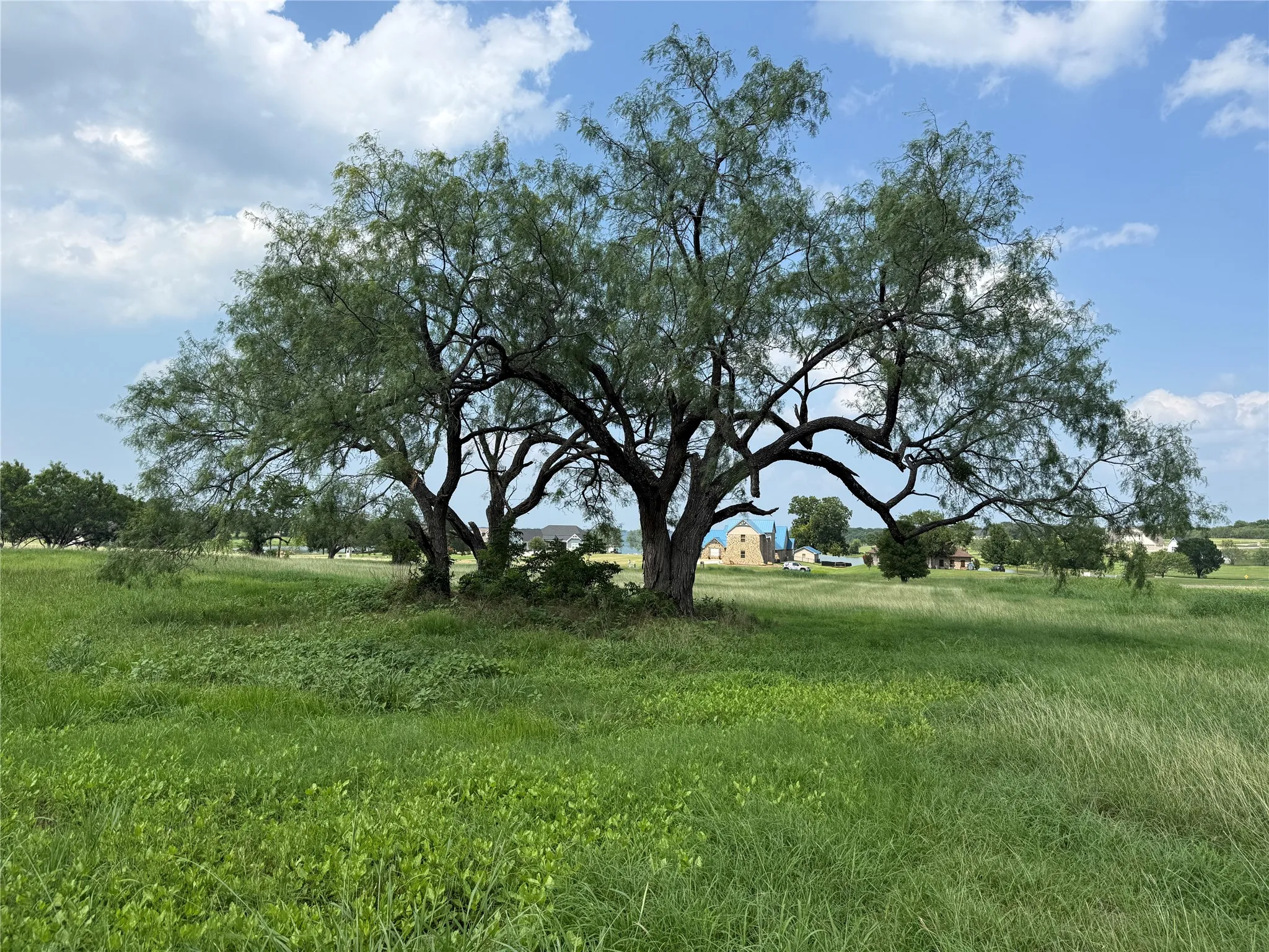 Mature shade trees enhance the beauty of the property.