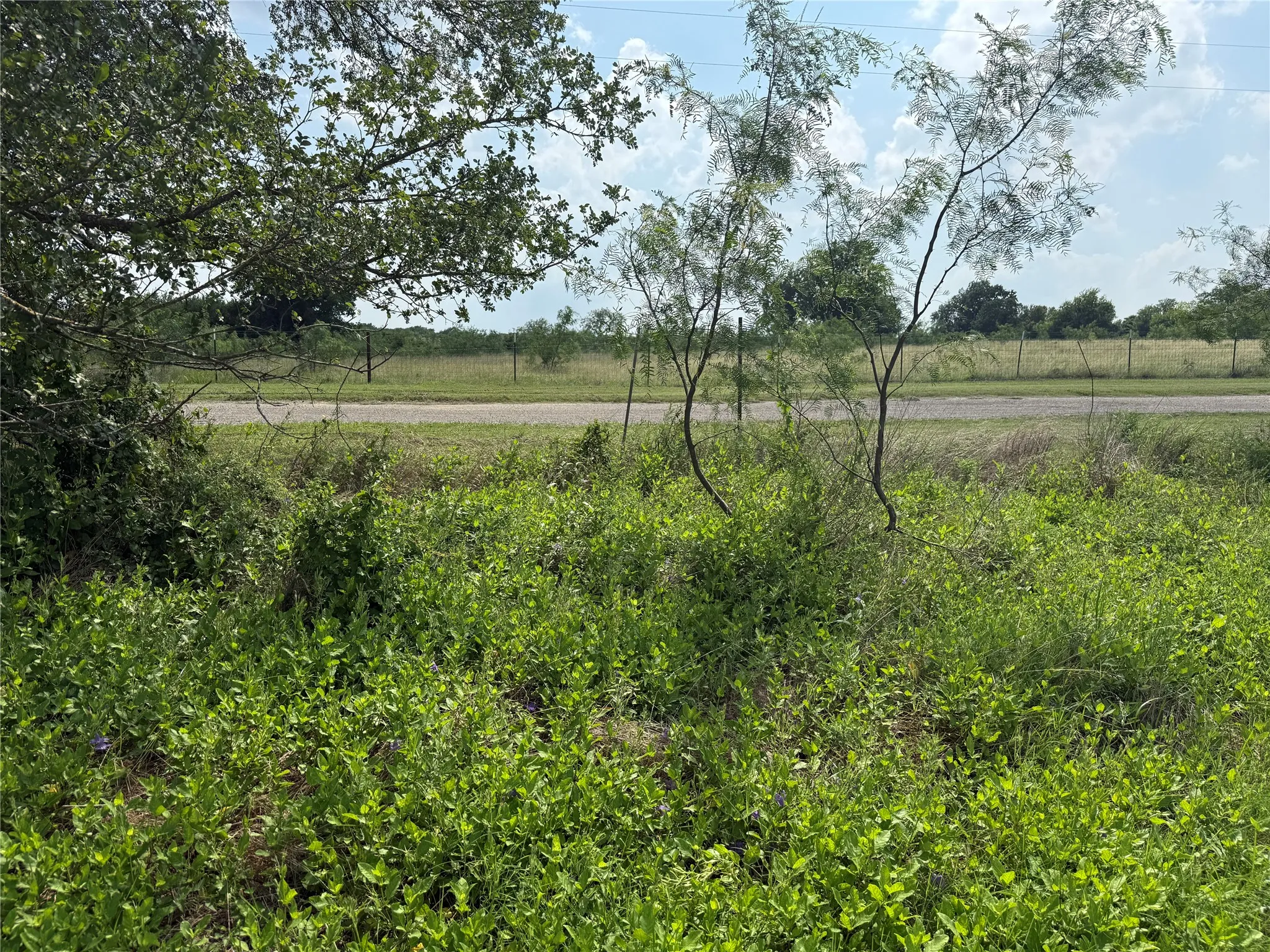 Barbed wire fencing at back of property.