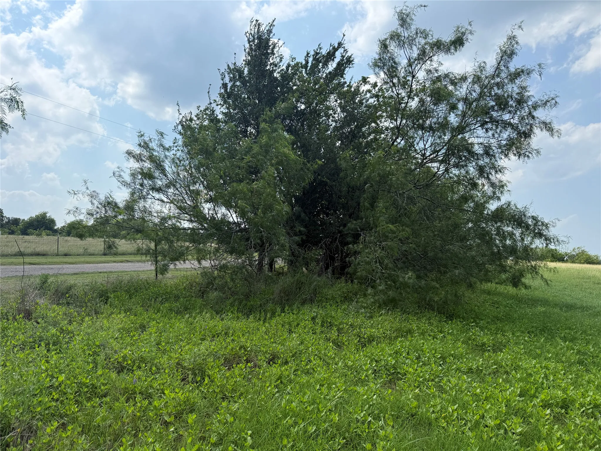 Mature shade trees enhance the beauty of the property.