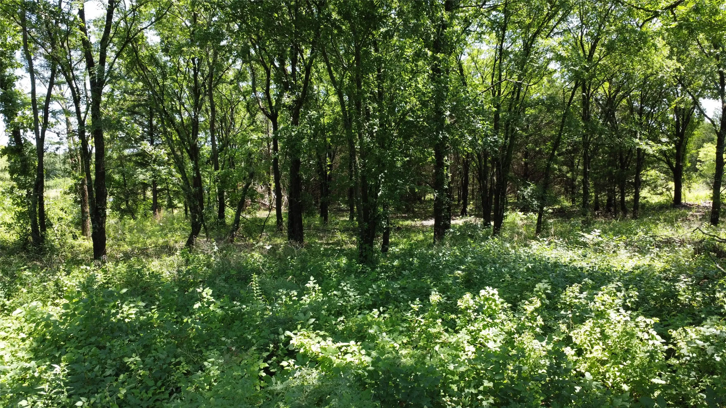 Unimproved Land For Sale in Grayson County , 527 Copperas Road, Whitesboro, Texas 76264, 0, 0, Garage spaces, 0 Sqft, built in 0, mls#21310190, Real Estate Agent in Whitesboro, Homes For Sale in Grayson county, Homes For Sale in Whitesboro, Realtor in Whitesboro Texas, Real Estate Brokerage Independent Realty Texas, Luminita Cordes Realtor