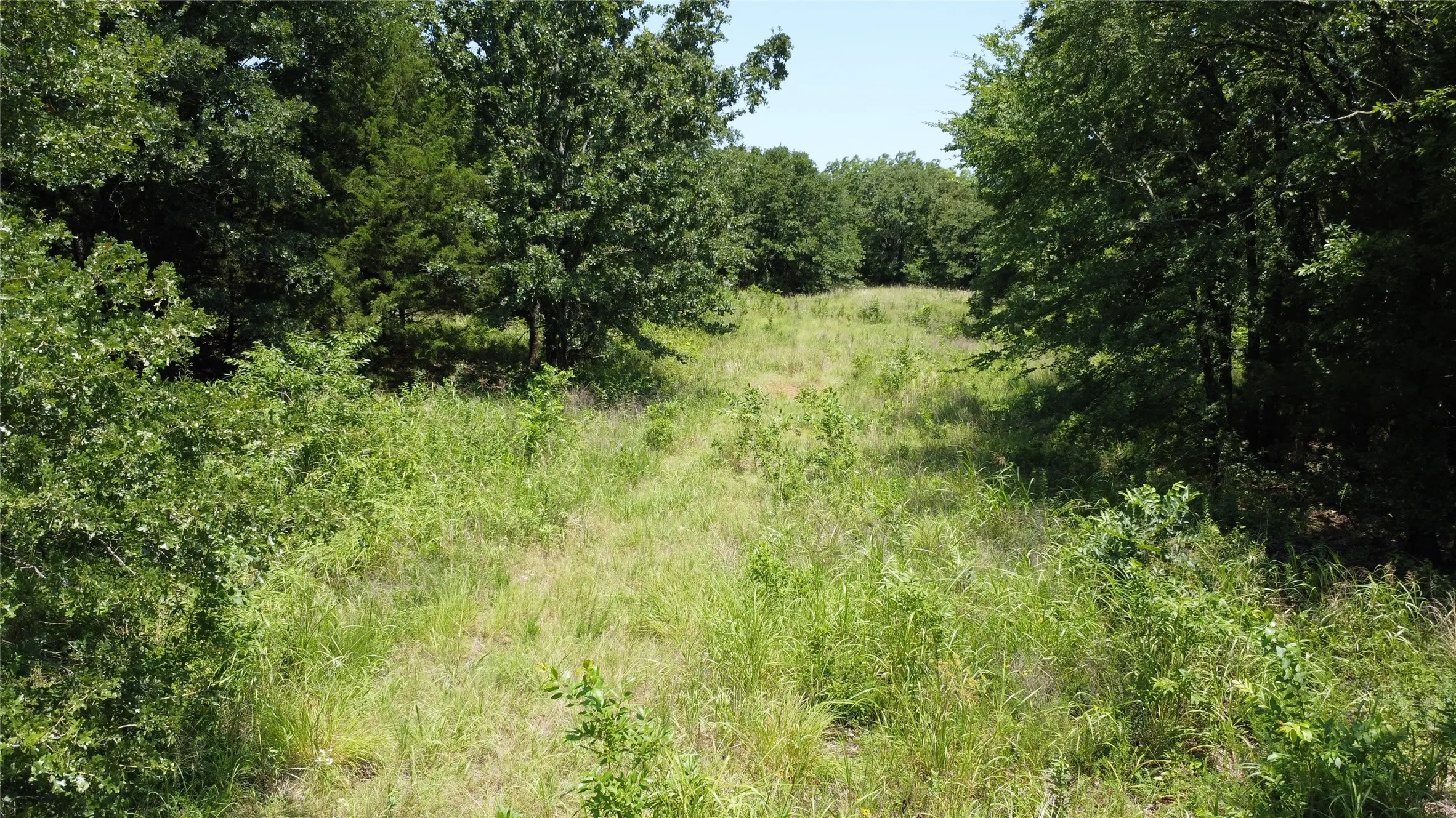 Unimproved Land For Sale in Grayson County , 527 Copperas Road, Whitesboro, Texas 76264, 0, 0, Garage spaces, 0 Sqft, built in 0, mls#21310190, Real Estate Agent in Whitesboro, Homes For Sale in Grayson county, Homes For Sale in Whitesboro, Realtor in Whitesboro Texas, Real Estate Brokerage Independent Realty Texas, Luminita Cordes Realtor
