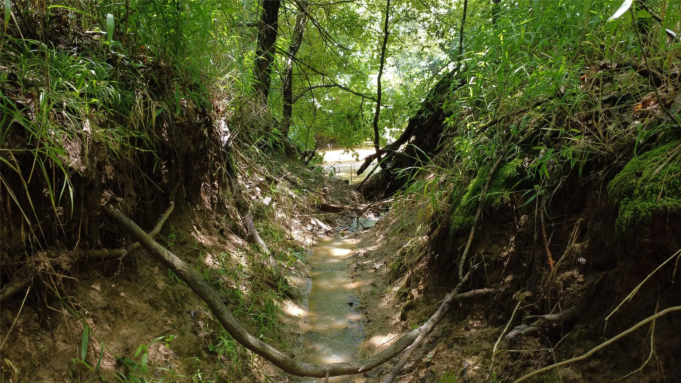 Unimproved Land For Sale in Grayson County , 527 Copperas Road, Whitesboro, Texas 76264, 0, 0, Garage spaces, 0 Sqft, built in 0, mls#21310190, Real Estate Agent in Whitesboro, Homes For Sale in Grayson county, Homes For Sale in Whitesboro, Realtor in Whitesboro Texas, Real Estate Brokerage Independent Realty Texas, Luminita Cordes Realtor