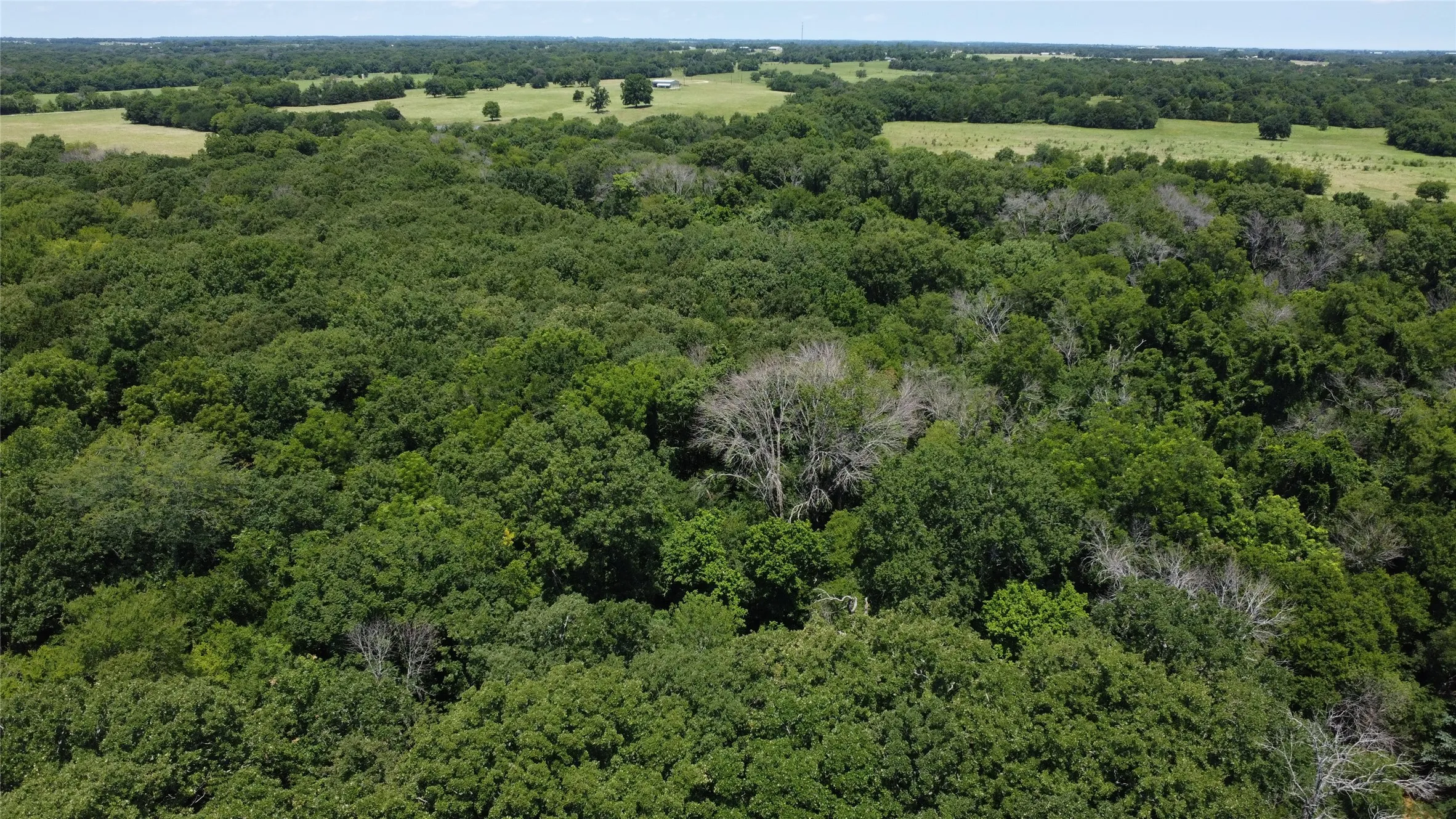 Unimproved Land For Sale in Grayson County , 527 Copperas Road, Whitesboro, Texas 76264, 0, 0, Garage spaces, 0 Sqft, built in 0, mls#21310190, Real Estate Agent in Whitesboro, Homes For Sale in Grayson county, Homes For Sale in Whitesboro, Realtor in Whitesboro Texas, Real Estate Brokerage Independent Realty Texas, Luminita Cordes Realtor