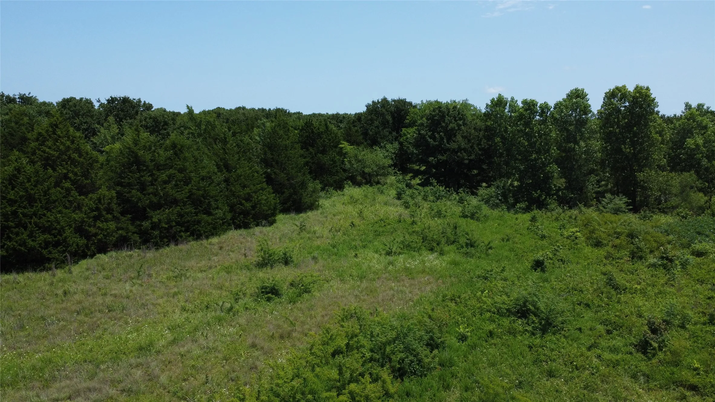 Unimproved Land For Sale in Grayson County , 527 Copperas Road, Whitesboro, Texas 76264, 0, 0, Garage spaces, 0 Sqft, built in 0, mls#21310190, Real Estate Agent in Whitesboro, Homes For Sale in Grayson county, Homes For Sale in Whitesboro, Realtor in Whitesboro Texas, Real Estate Brokerage Independent Realty Texas, Luminita Cordes Realtor