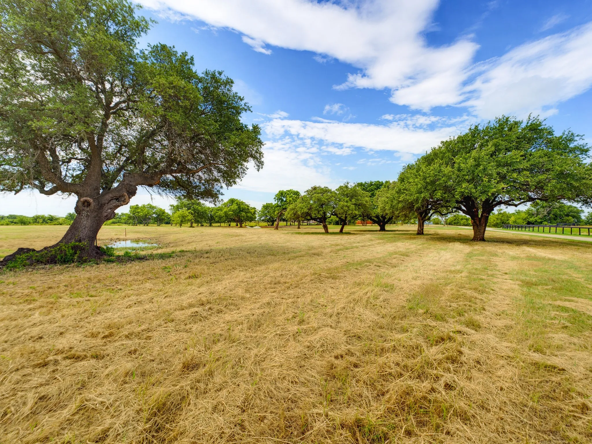 Unimproved Land For Sale in Wise County , Lot 4 Old Decatur Road, Decatur, Texas 76234, 0, 0, Garage spaces, 0 Sqft, built in 0, mls#21306486, Real Estate Agent in Decatur, Homes For Sale in Wise county, Homes For Sale in Decatur, Realtor in Decatur Texas, Real Estate Brokerage Independent Realty Texas, Luminita Cordes Realtor