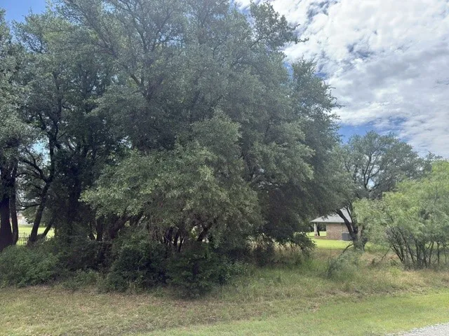 Unimproved Land For Sale in Hill County , 13025 Eagles Nest Drive, Whitney, Texas 76692, 0, 0, Garage spaces, 0 Sqft, built in 0, Price $20,000, mls#21308072, Real Estate Agent in Whitney, Homes For Sale in Hill county, Homes For Sale in Whitney, Realtor in Whitney Texas, Real Estate Brokerage Independent Realty Texas, Luminita Cordes Realtor