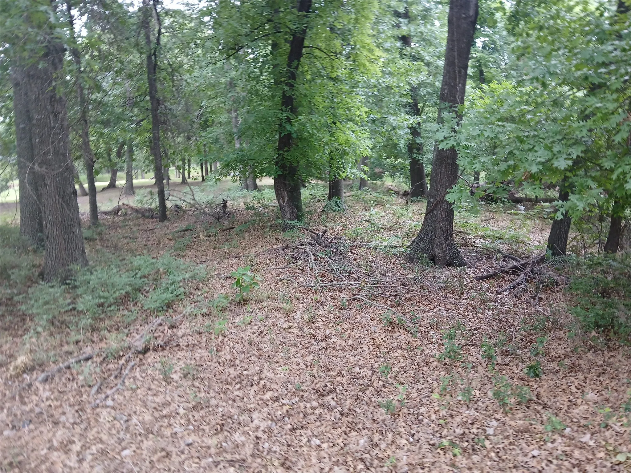 Single Family Residence For Sale in Parker County , 120 Lariat Court, Azle, Texas 76020, 0, 0, Garage spaces, 0 Sqft, built in 0, Price $220,000, mls#21302859, Real Estate Agent in Azle, Homes For Sale in Parker county, Homes For Sale in Azle, Realtor in Azle Texas, Real Estate Brokerage Independent Realty Texas, Luminita Cordes Realtor