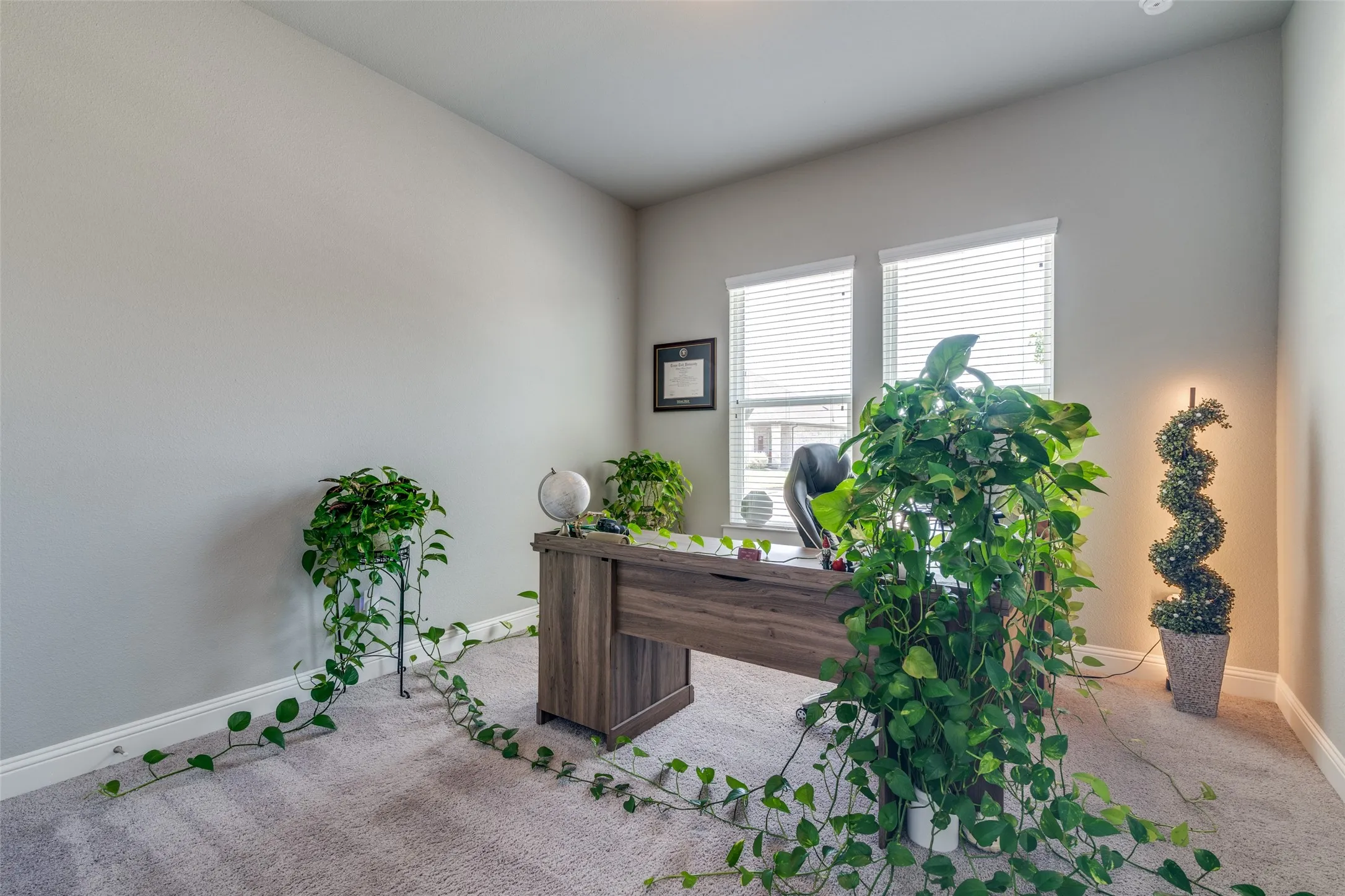 Bright interior room with two windows, light gray wall paint, and white baseboards