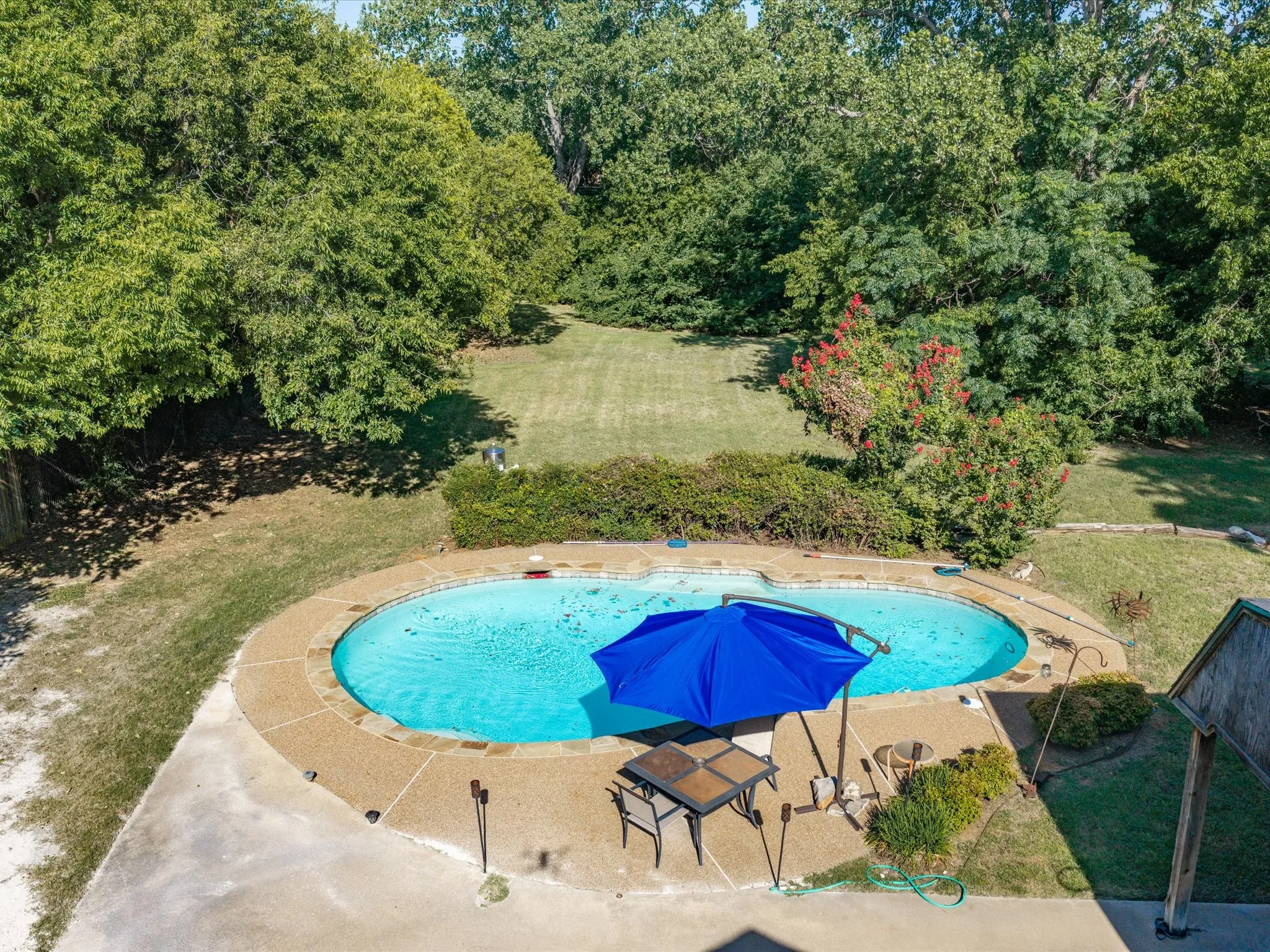 Kidney-shaped swimming pool featuring a stone coping, surrounding concrete patio, and extensive natural landscaping