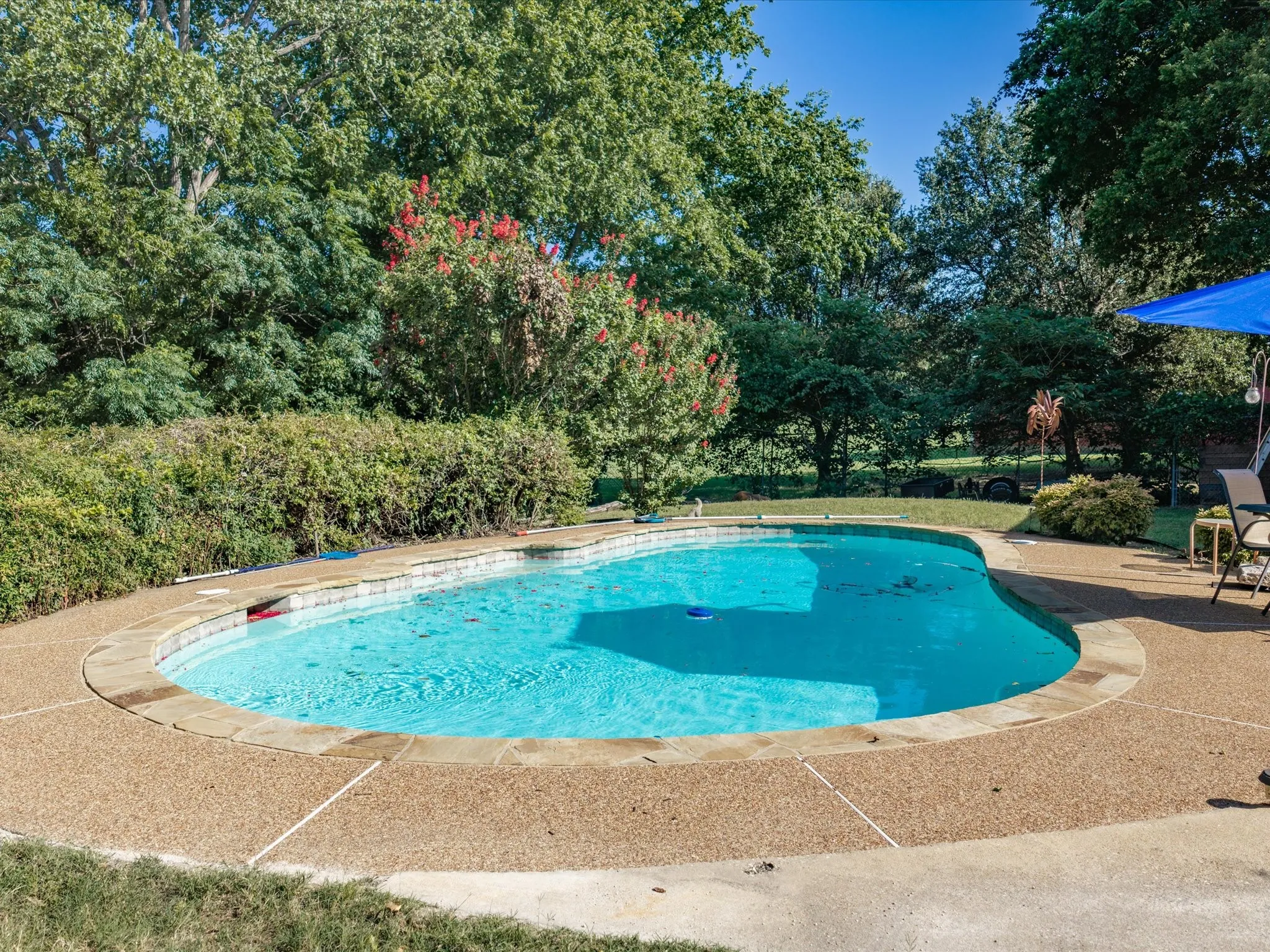 Freeform swimming pool featuring a textured concrete deck, stone coping, and mature perimeter landscaping